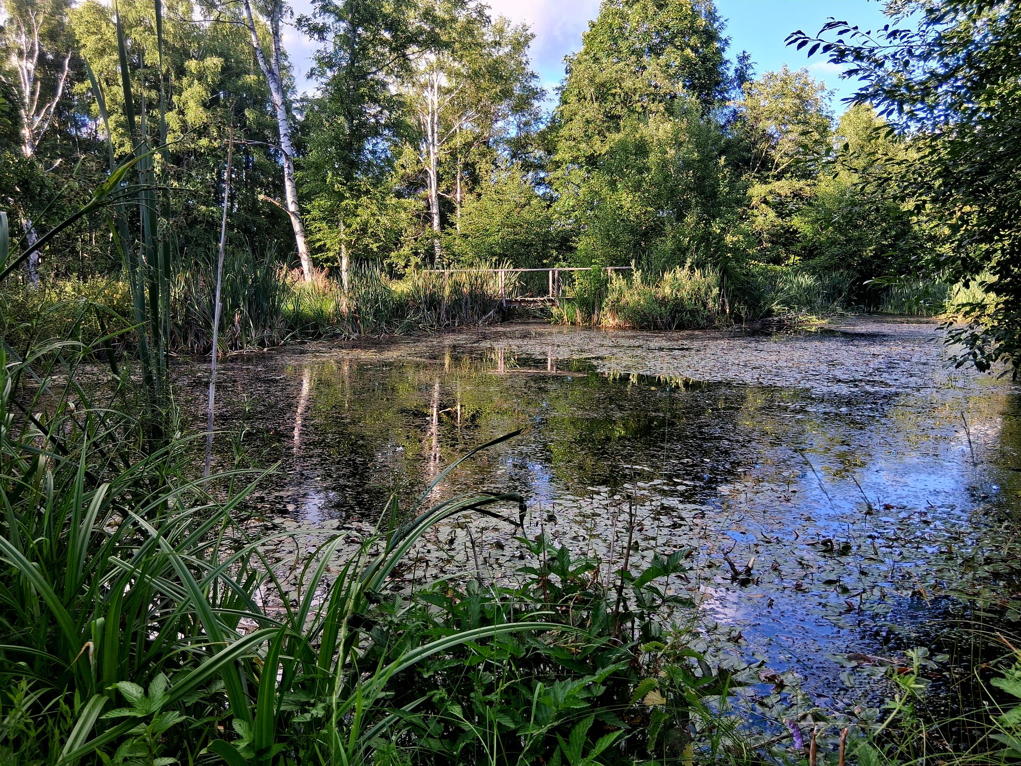 Farma Mošna foto 6