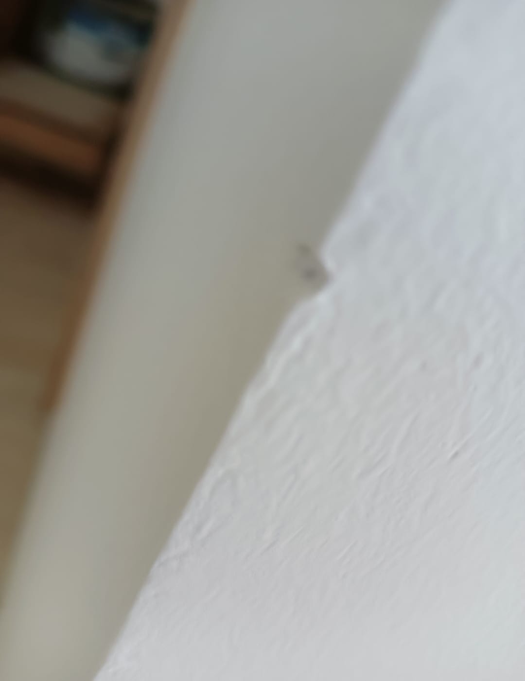 BUGISTAV foto 5