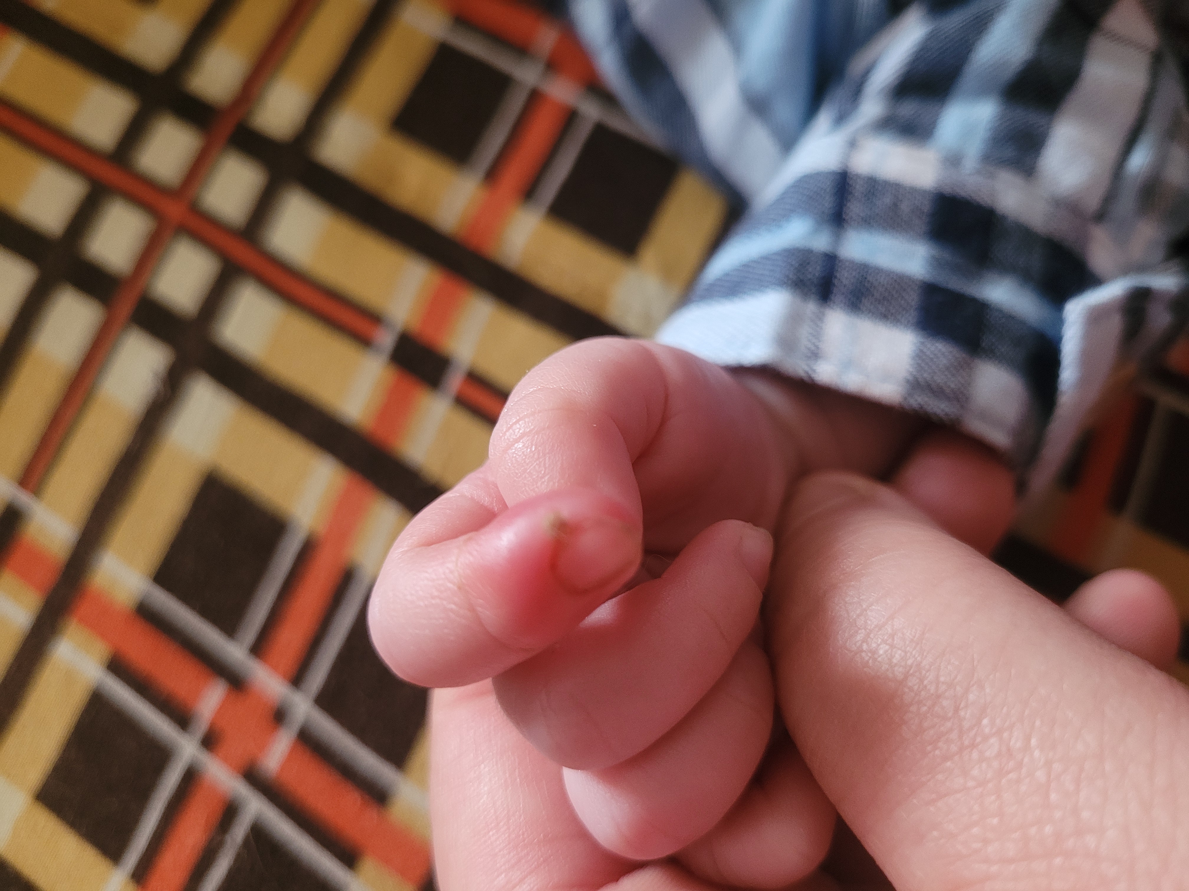 MUDr. Lenka Dostalová Kopečná, Ph.D. foto 2