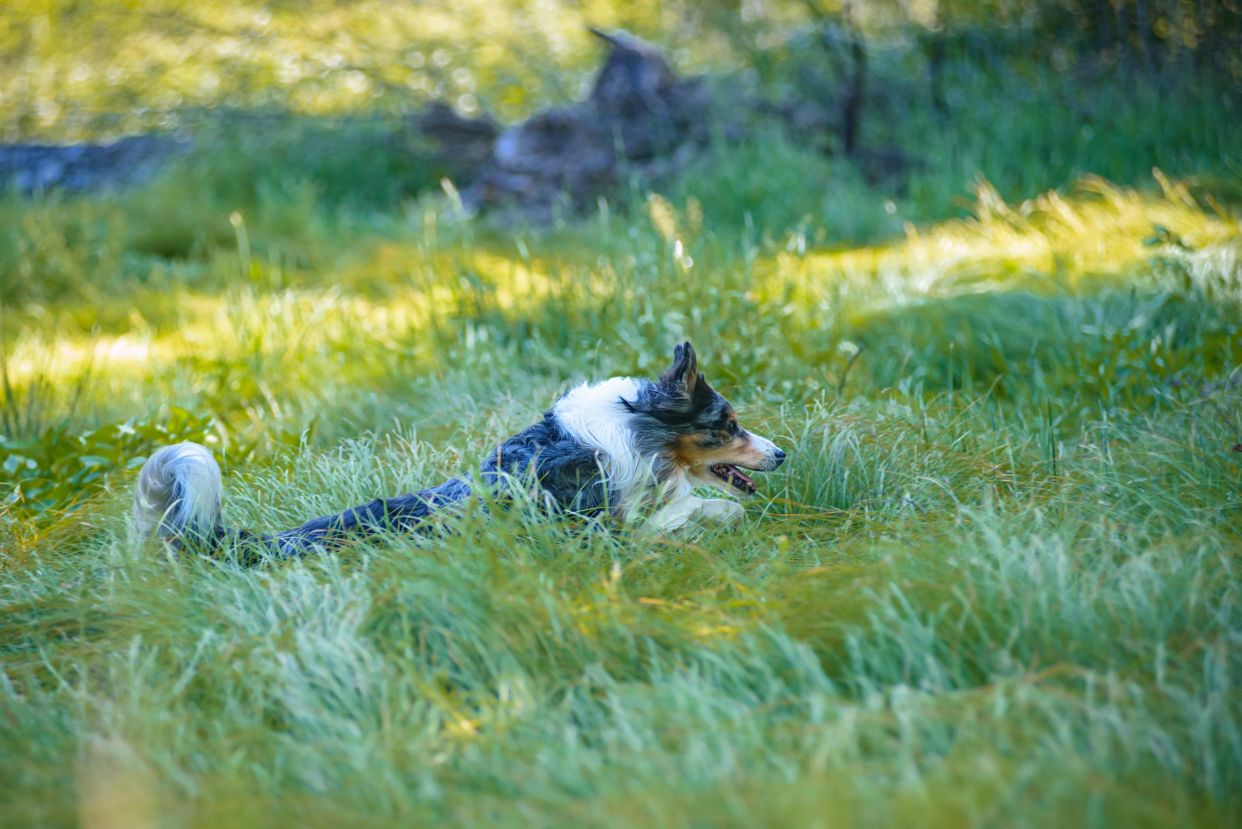 VividFoto.cz - fotograf Radek Havlíček foto 5
