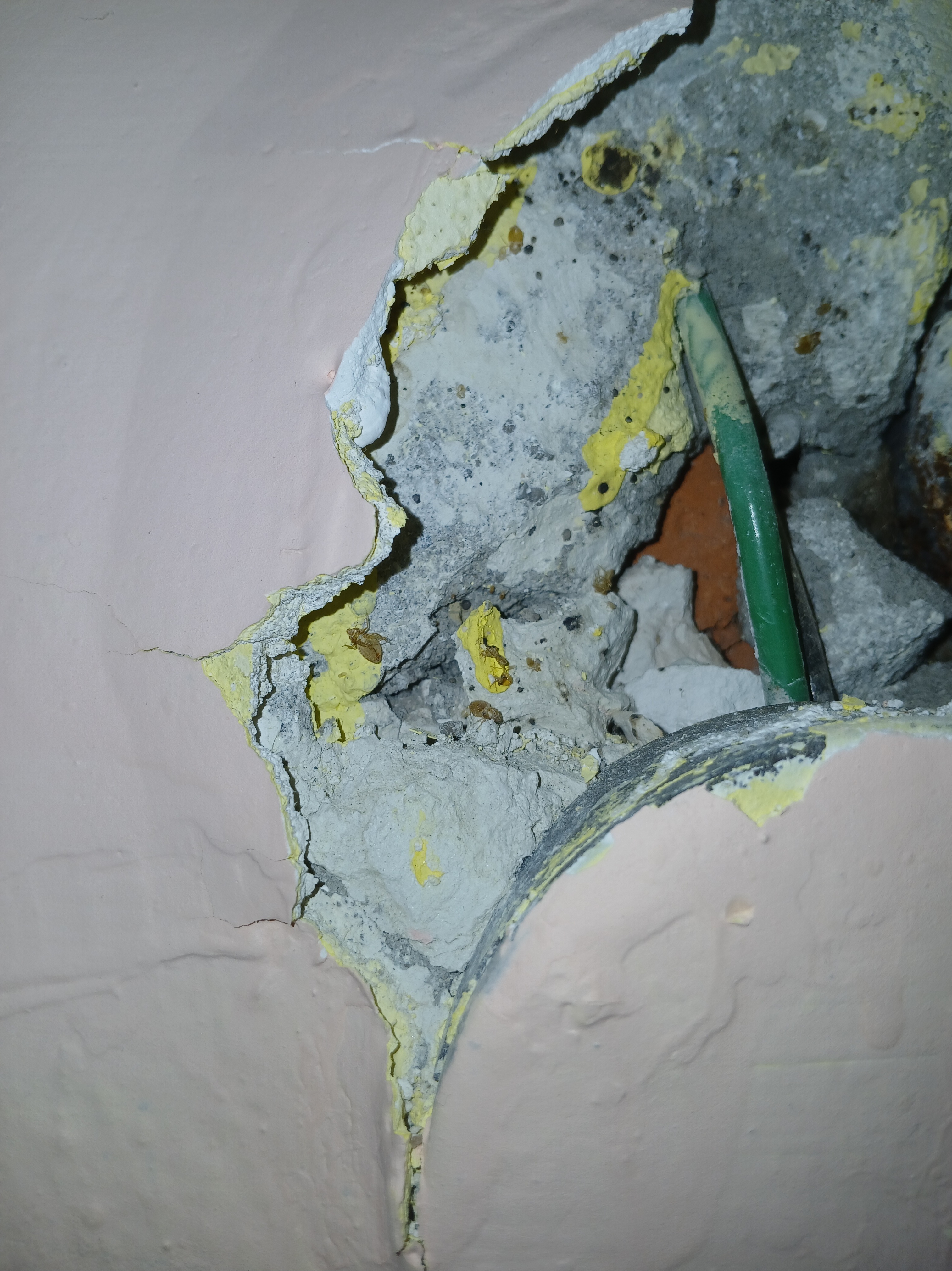 Rekreační středisko Star Line Svor foto 6