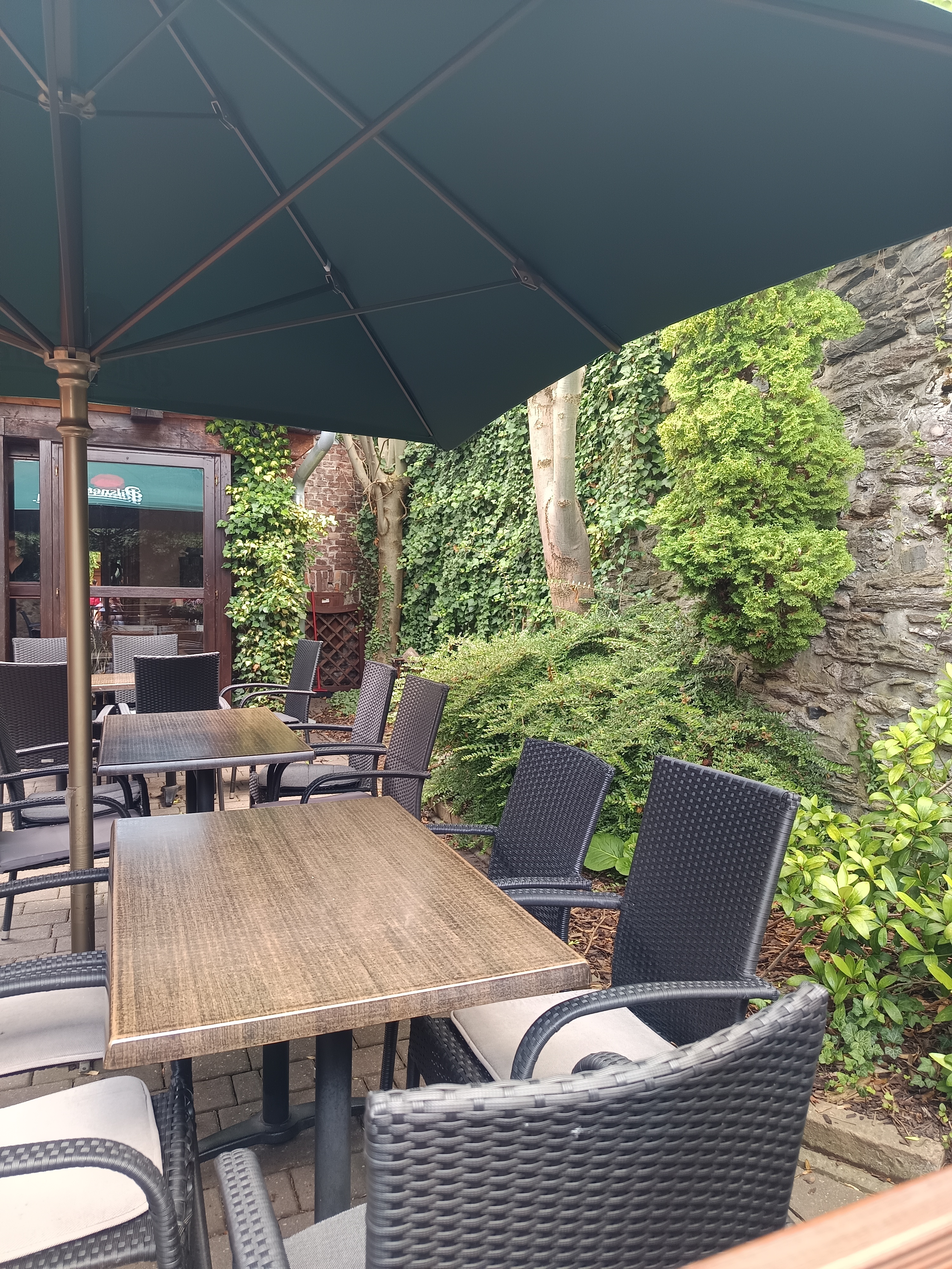 Pizzeria Ristorante Vyžlovka II foto 2