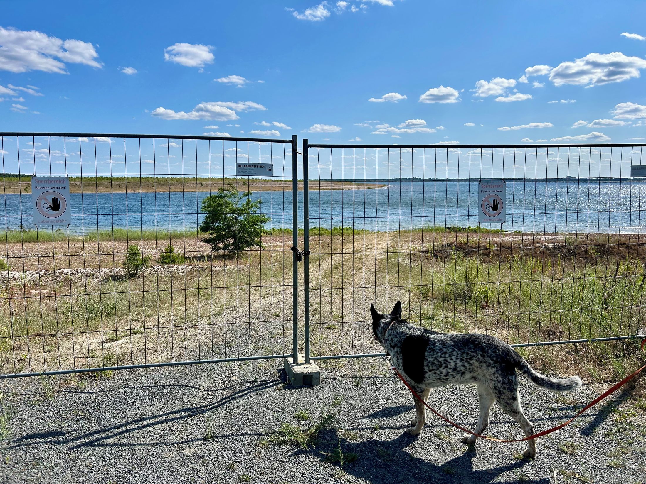 Cottbuser Ostsee