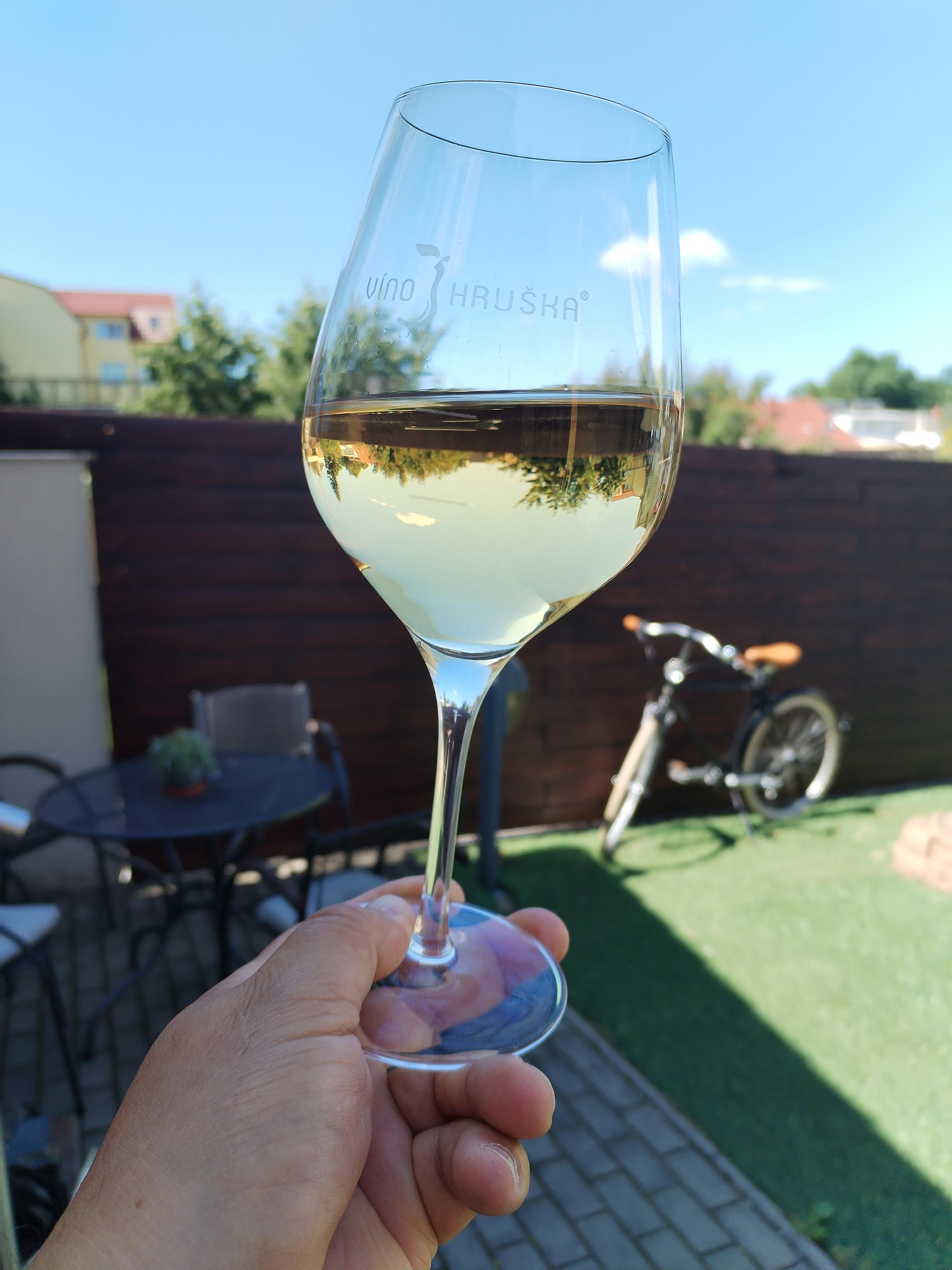 Vinotéka a penzion VÍNO HRUŠKA foto 2