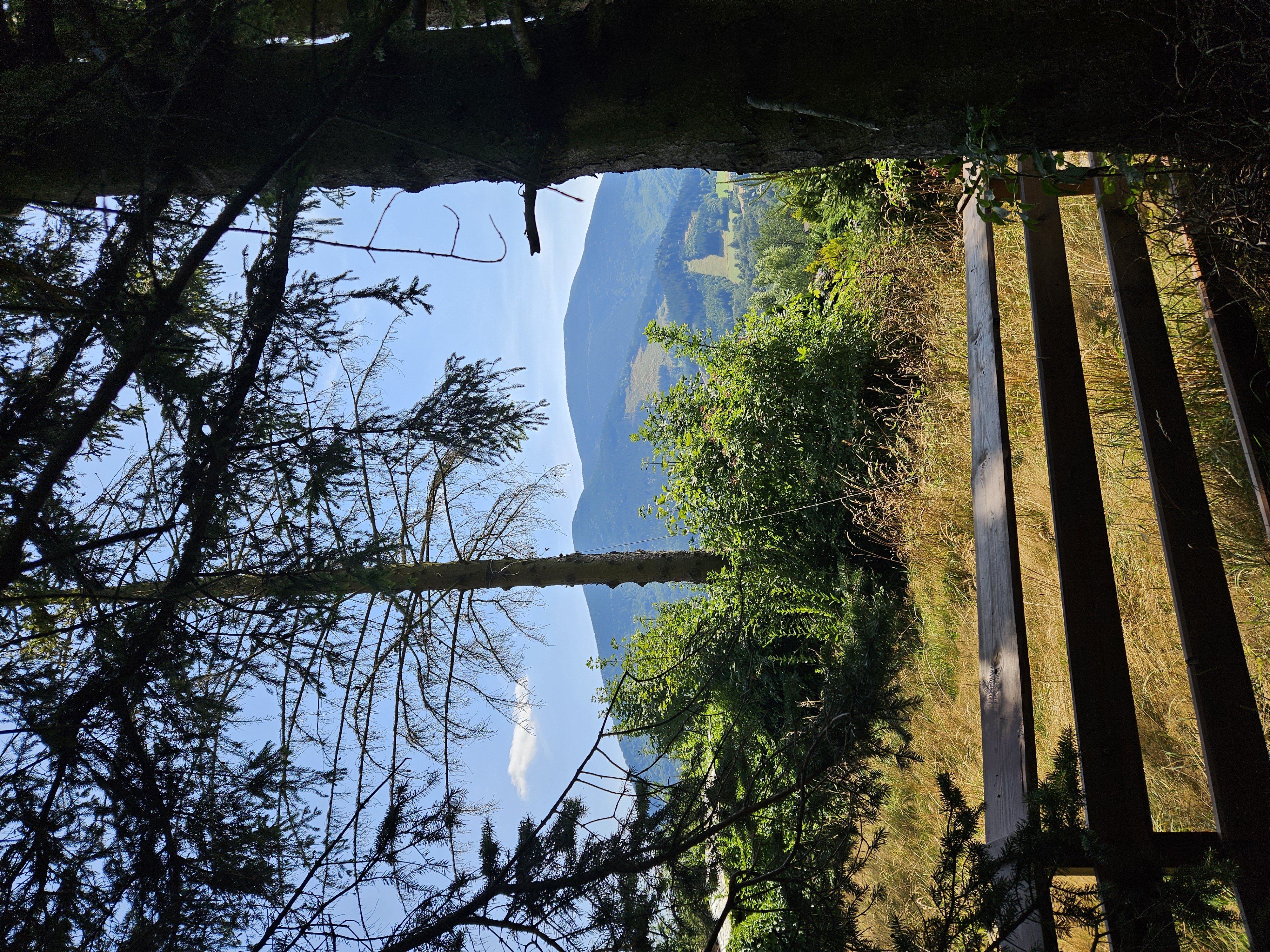 Apartmán Tři smrčky foto 3