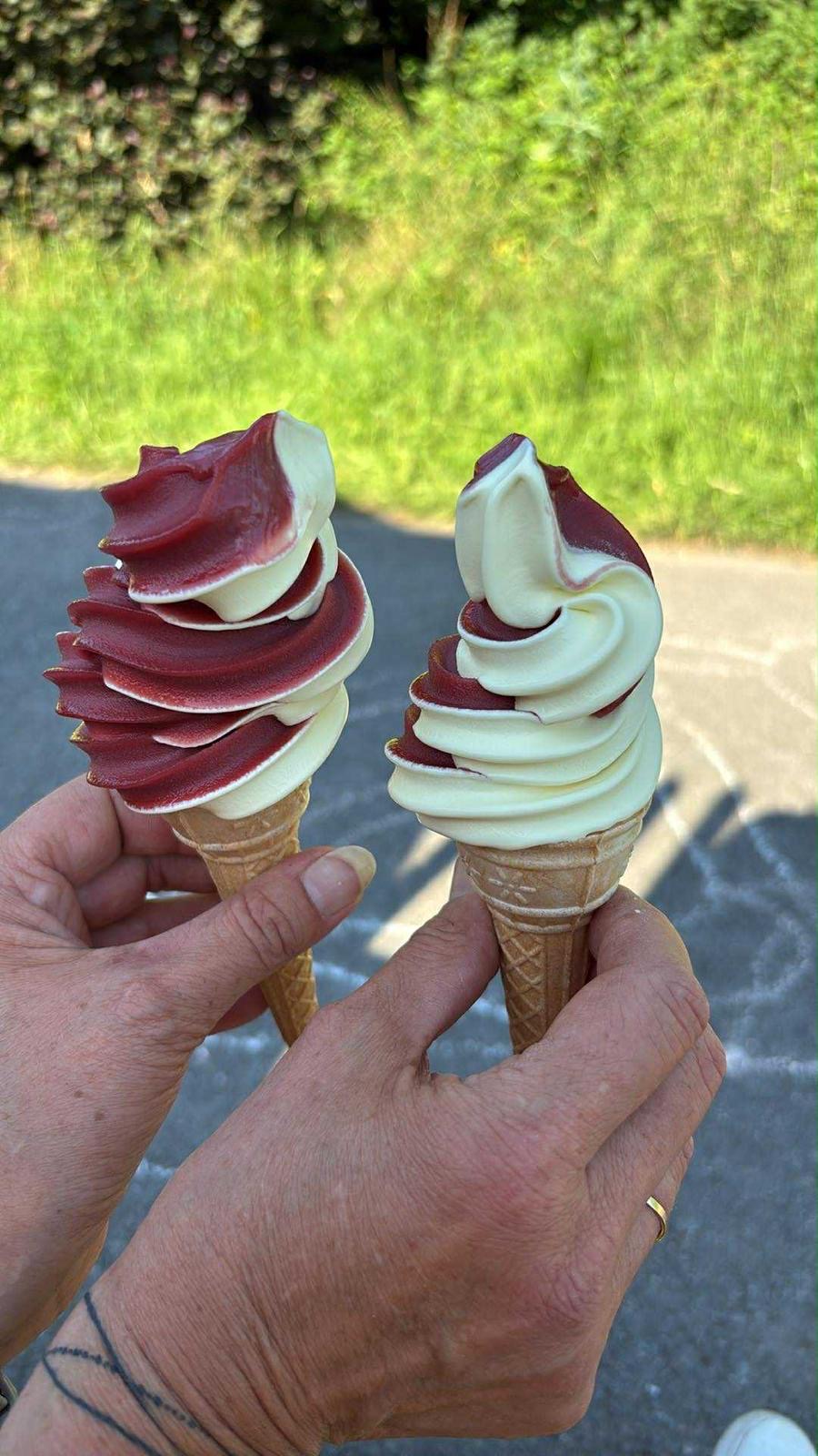 Točená zmrzlina u fichtlaře foto 2