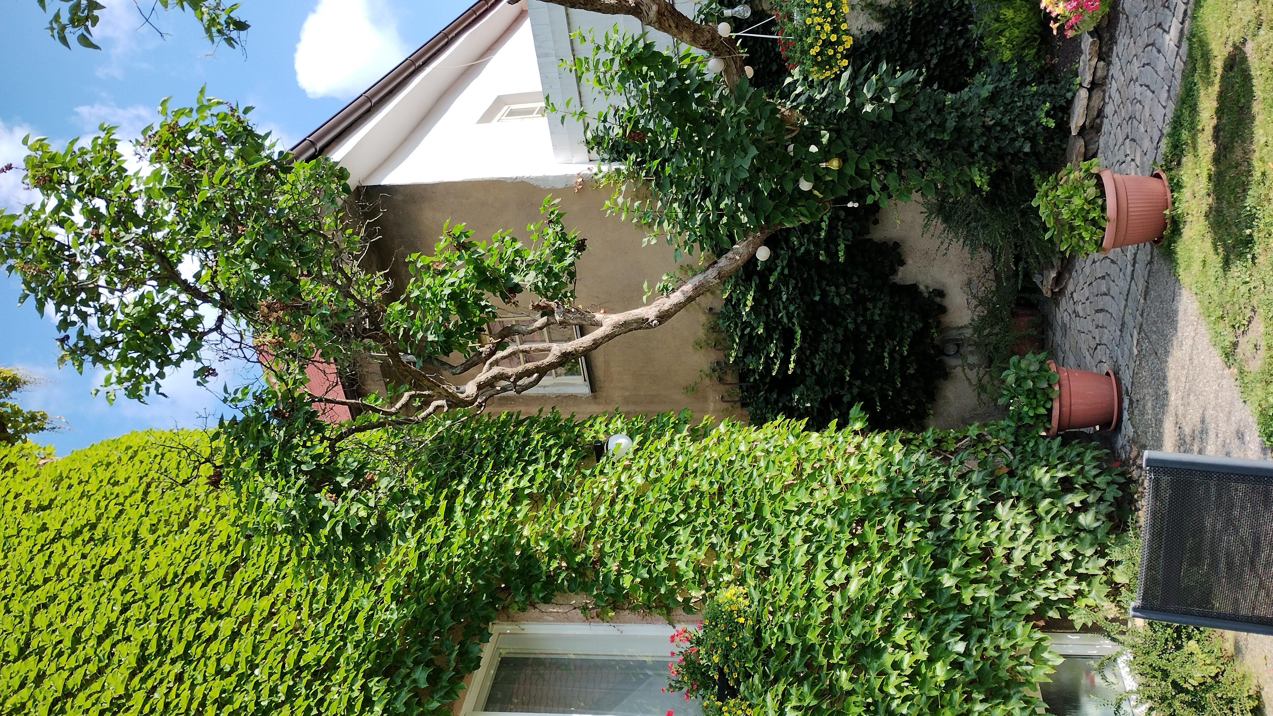 Libušina Villa foto 4