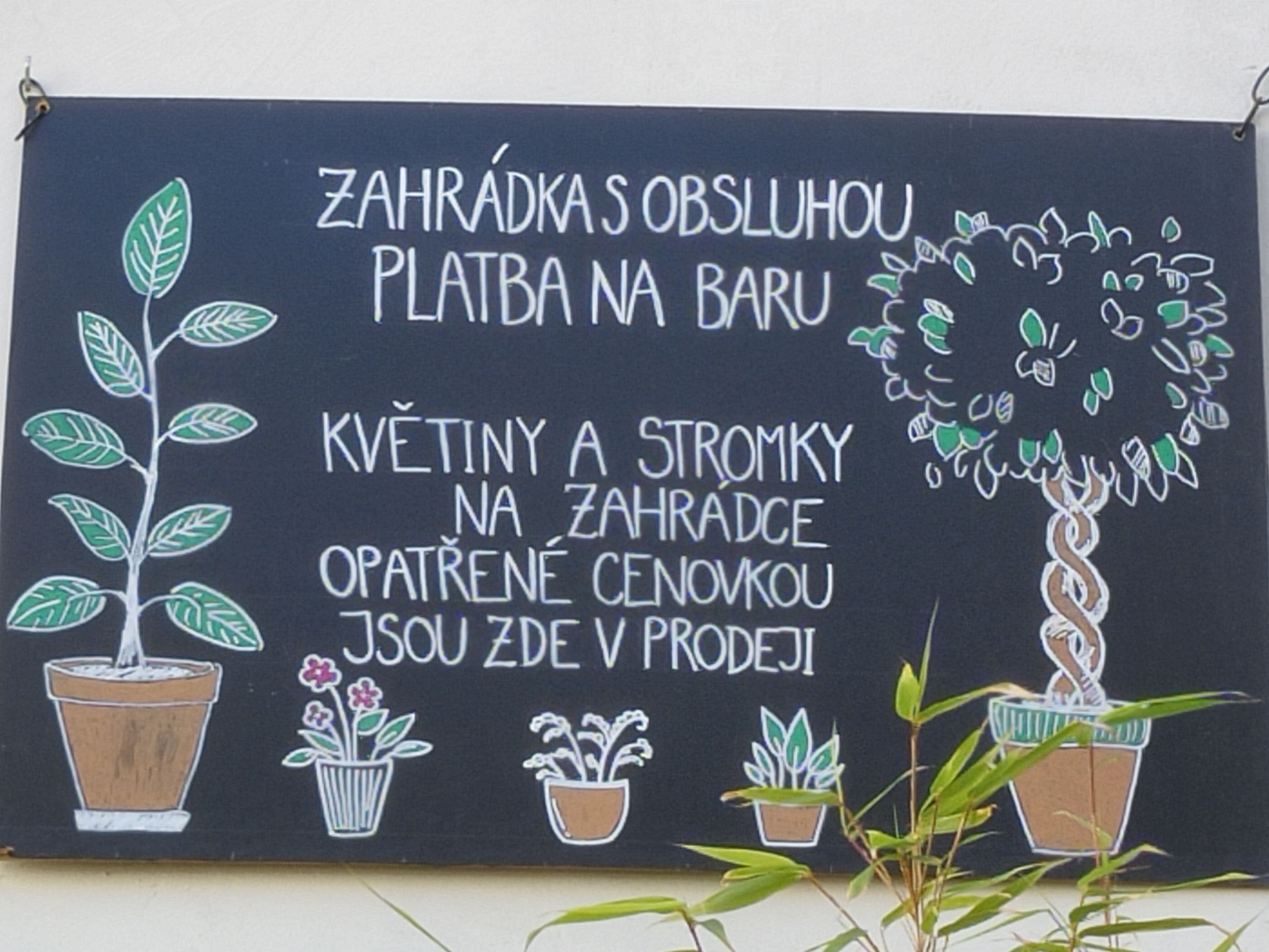 Cukrové nebe foto 2