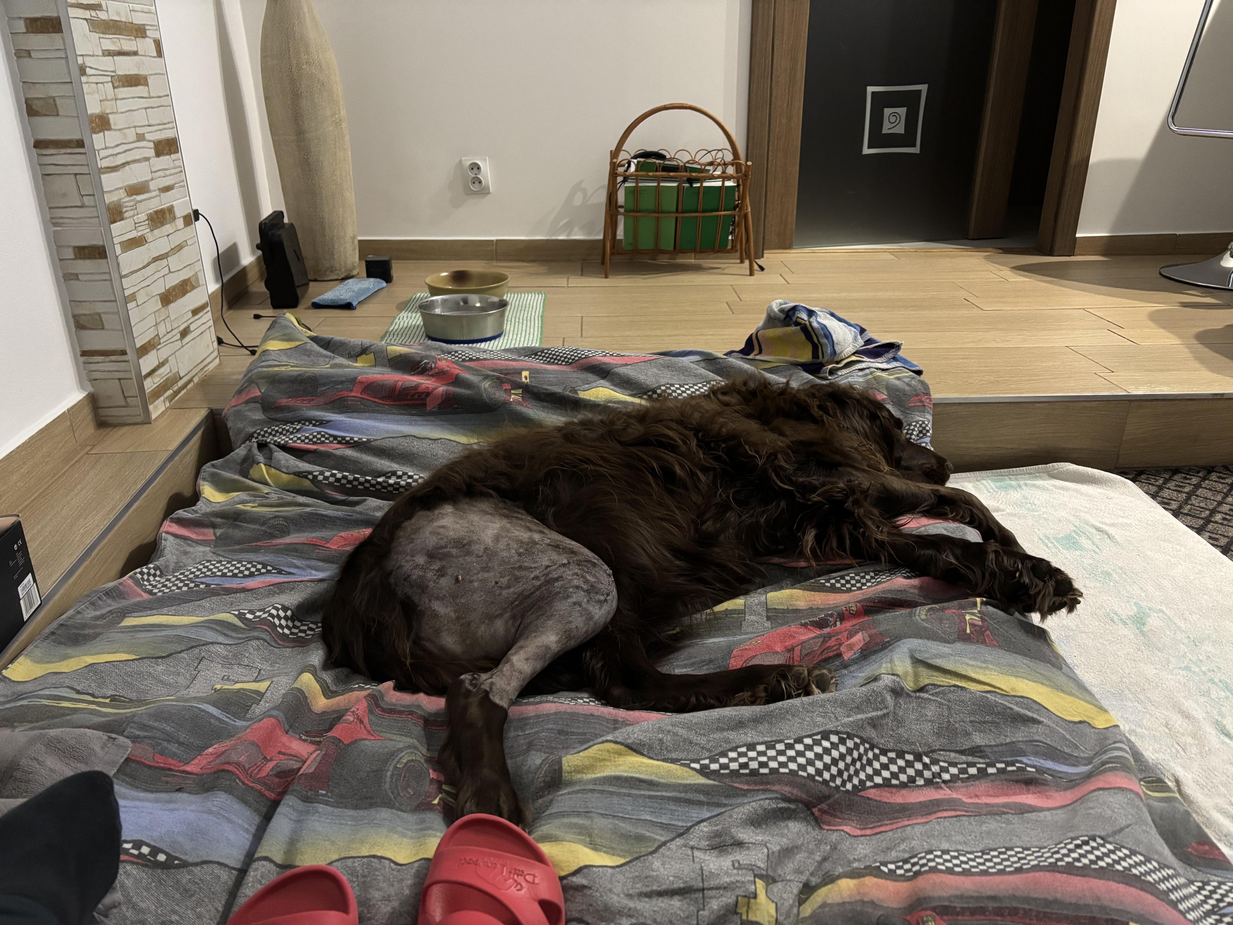 Veterinární klinika u nádraží foto 2