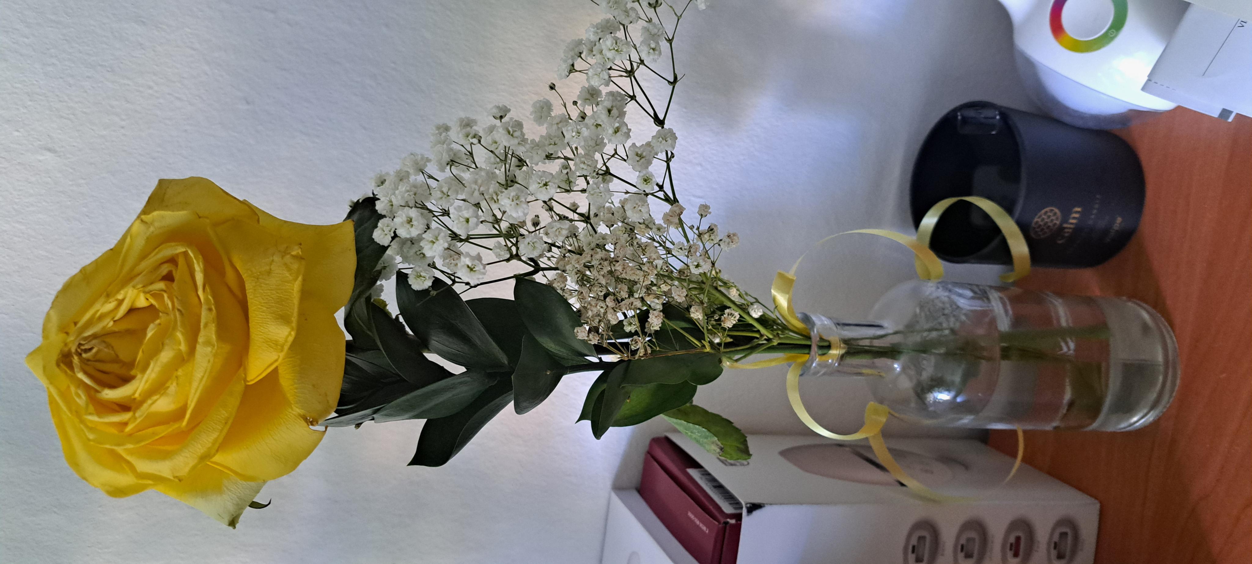 Flamengo květiny foto 2