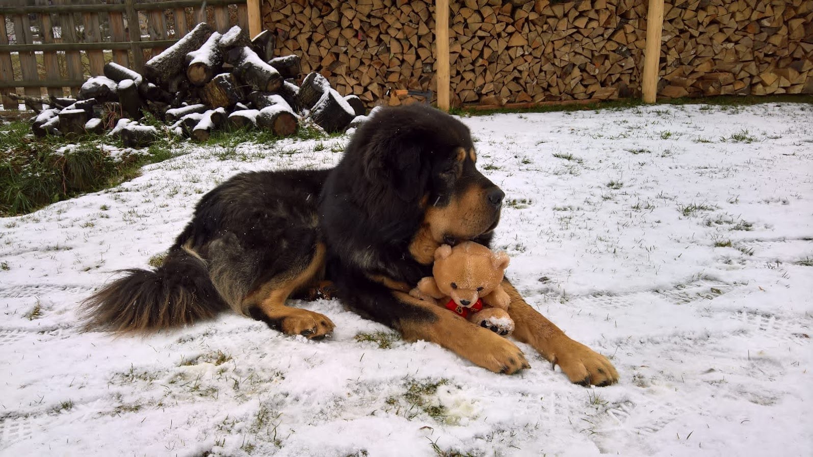 Veterina U Terezky foto 2
