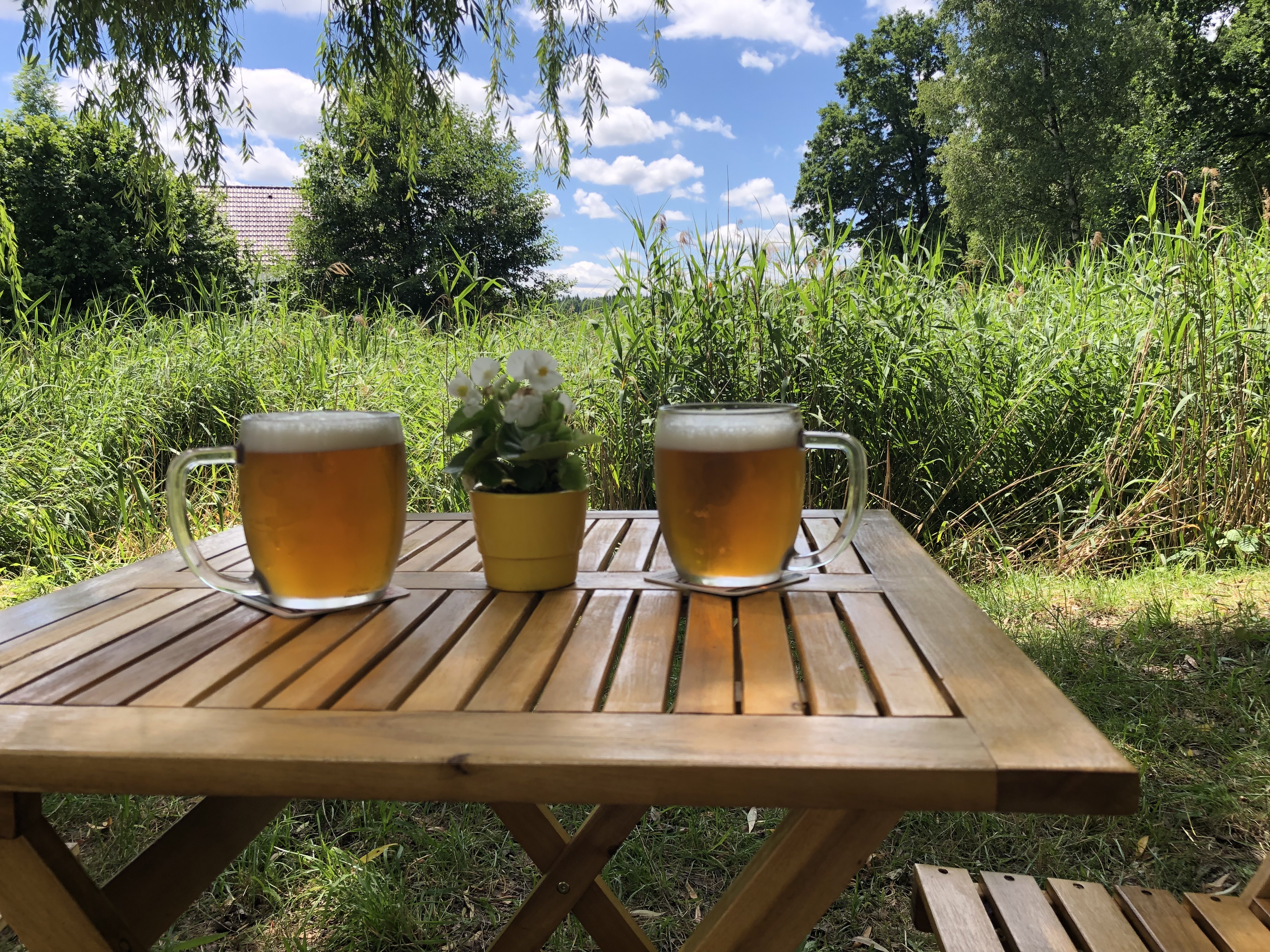 Cafe Dostavník foto 5