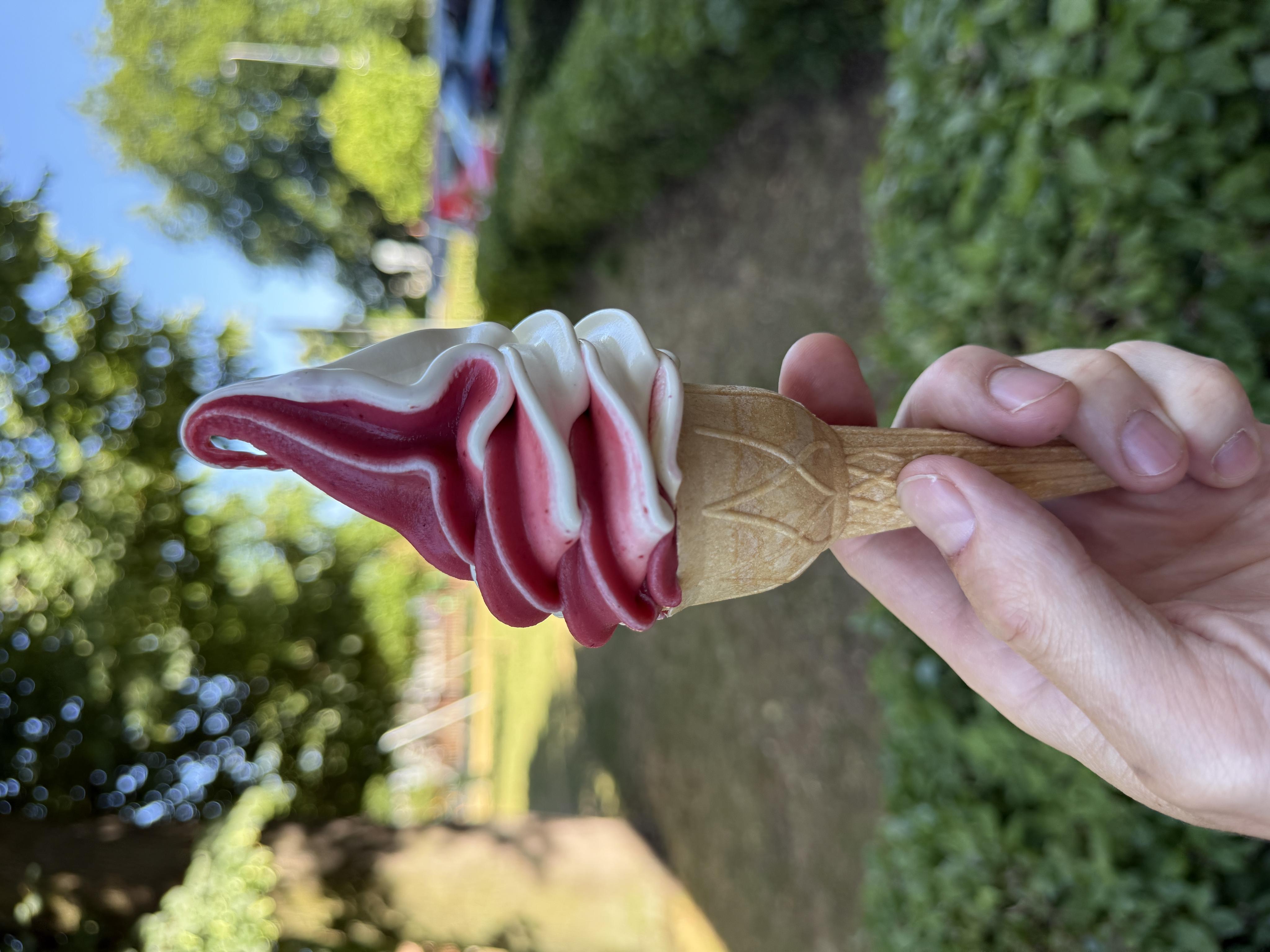 Farmářská zmrzlina foto 1
