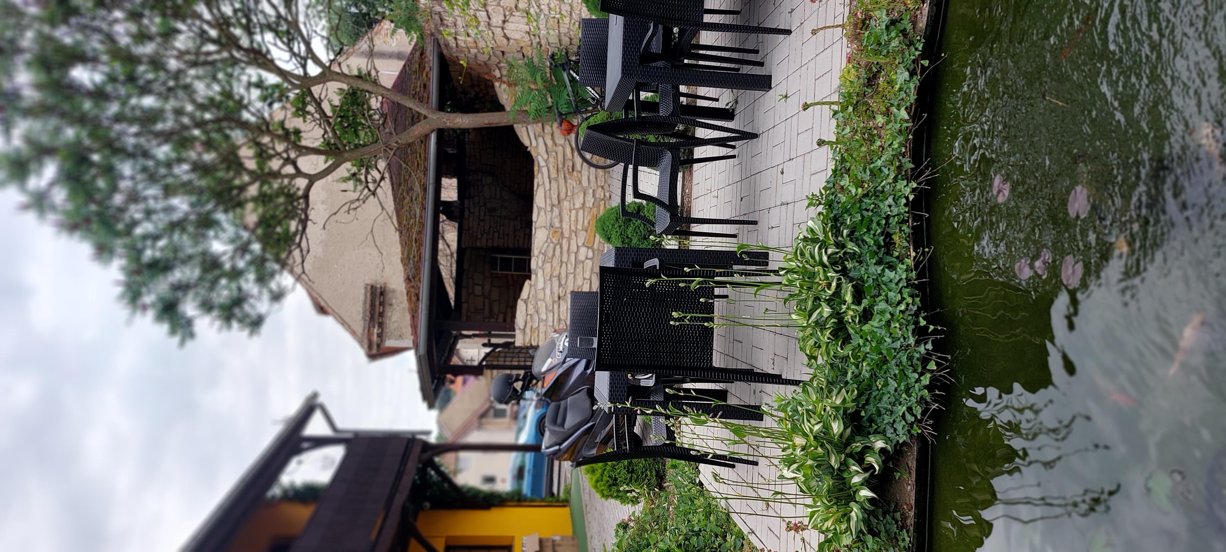Hotel U lišky foto 2