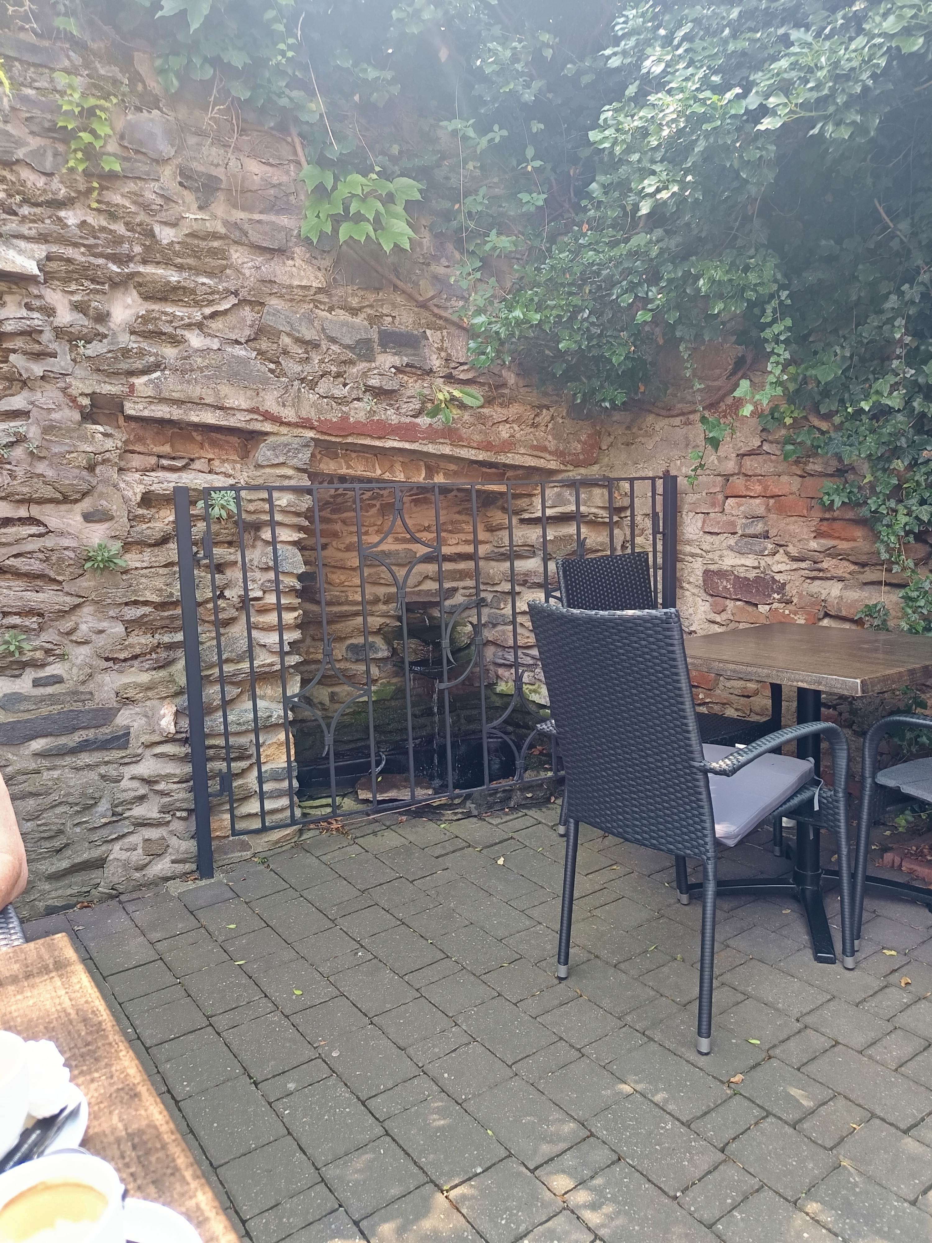 Pizzeria Ristorante Vyžlovka II foto 4