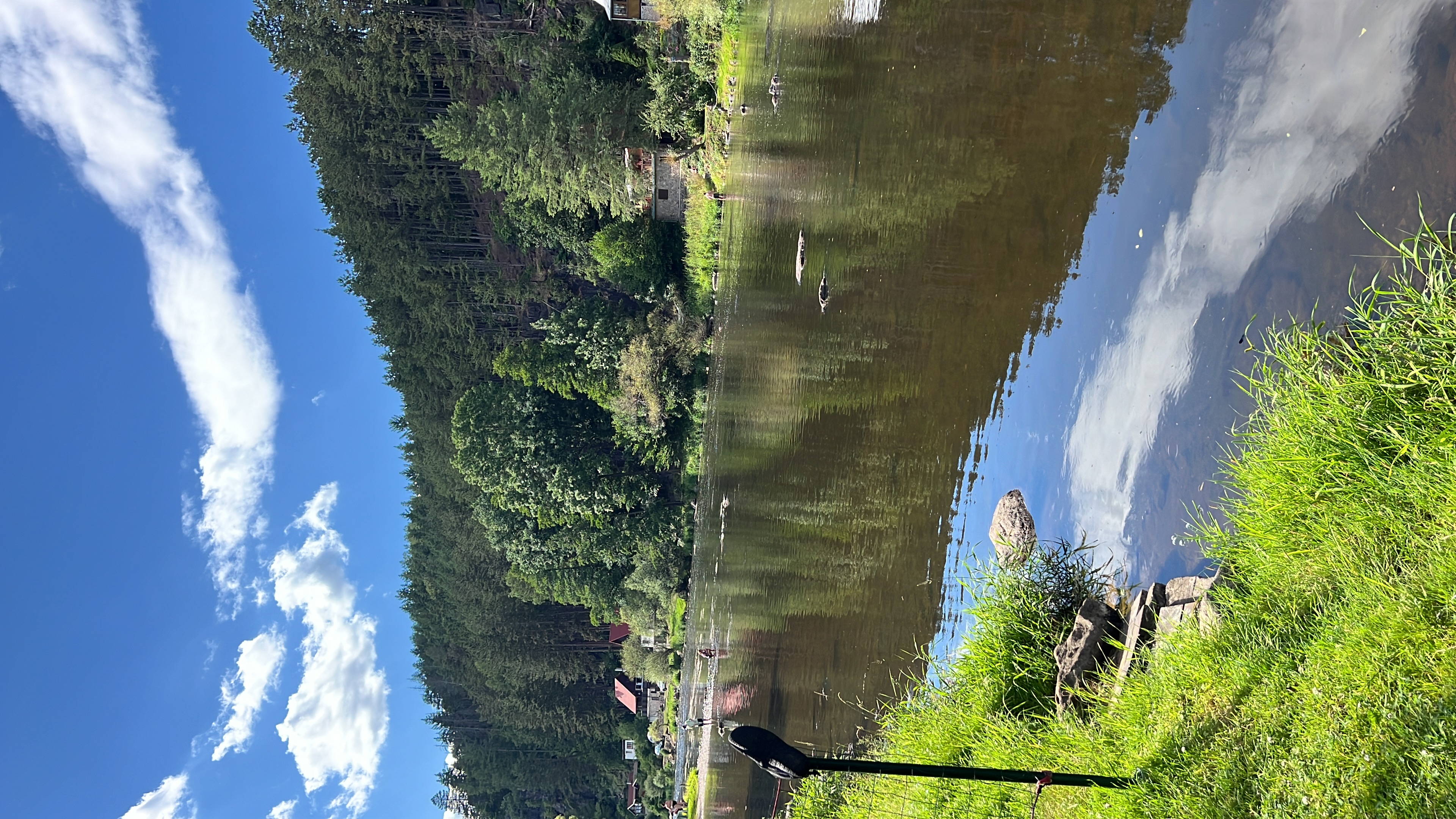 Tábořiště U Včelky foto 3