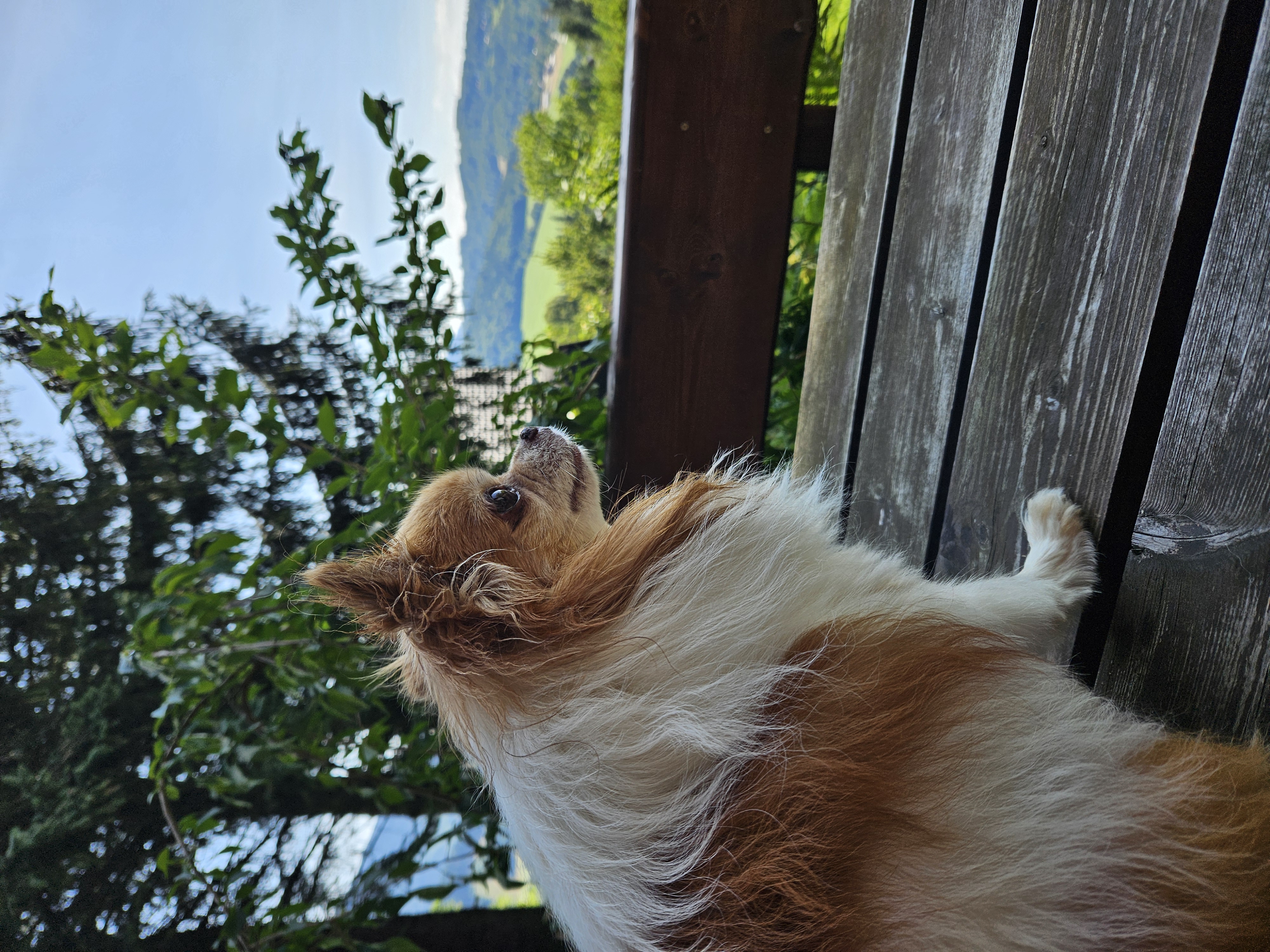 Apartmán Tři smrčky foto 5