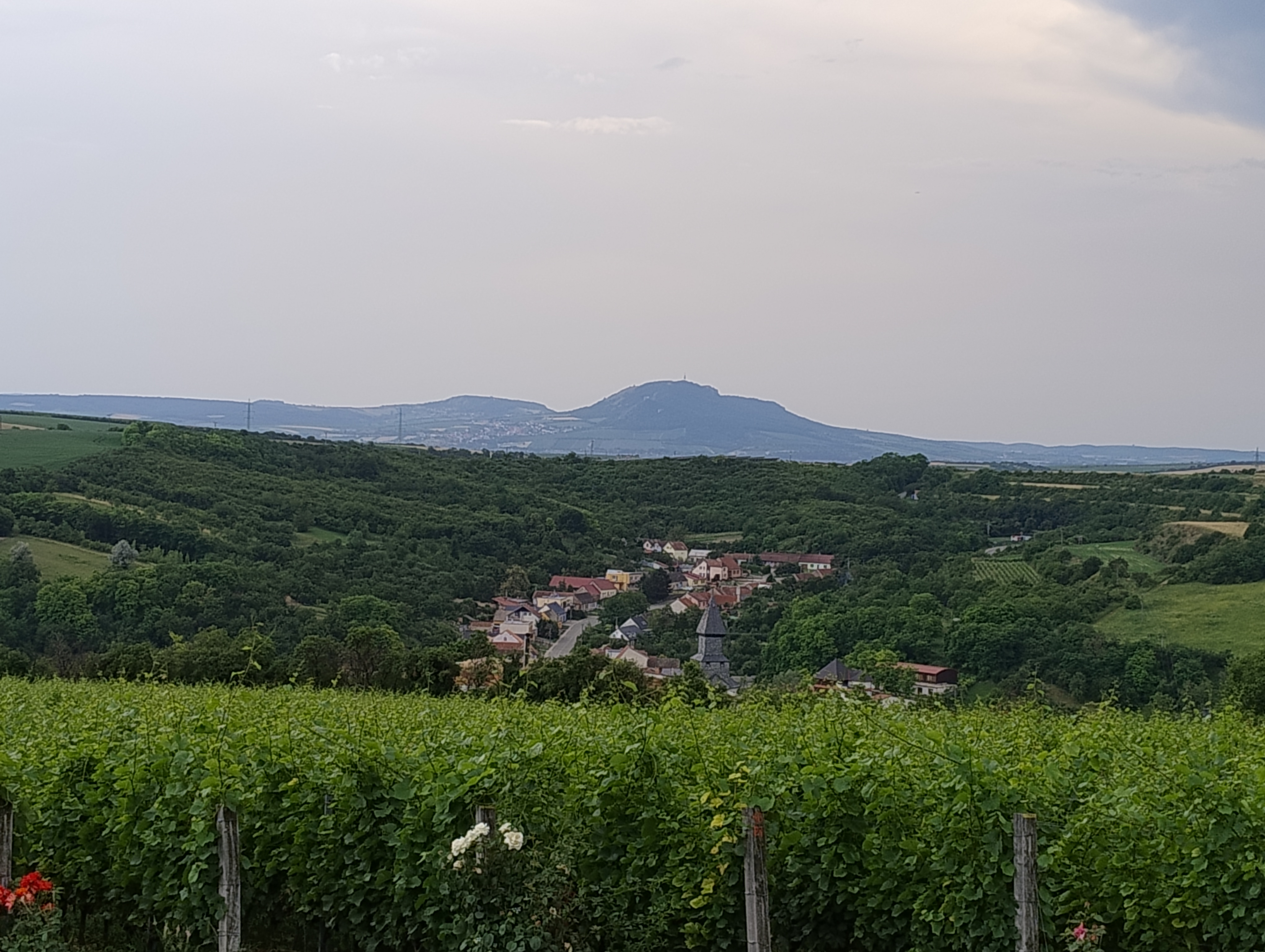 Hotel Kurdějov**** foto 5