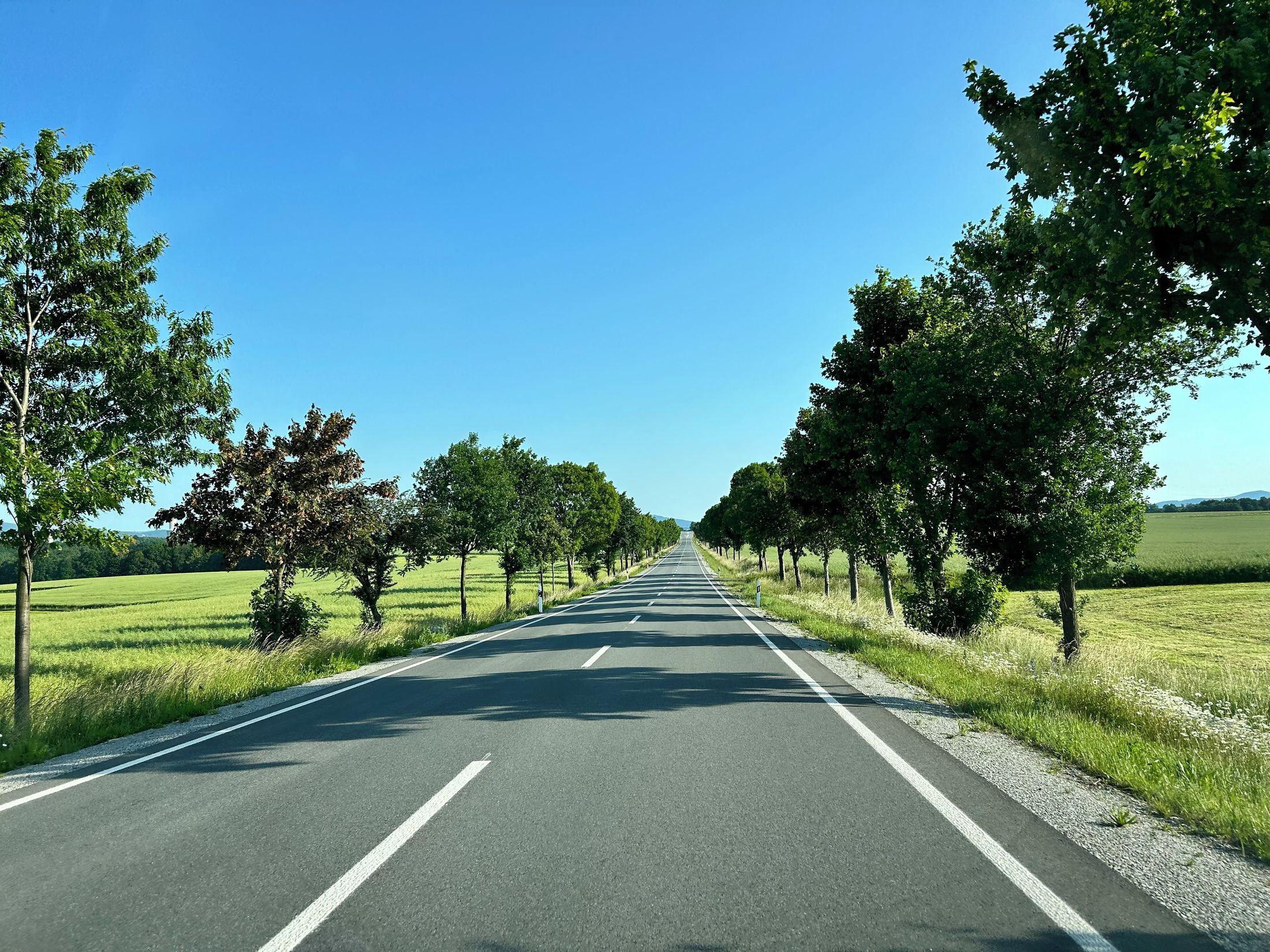 rejestracja pojazdu przez internet