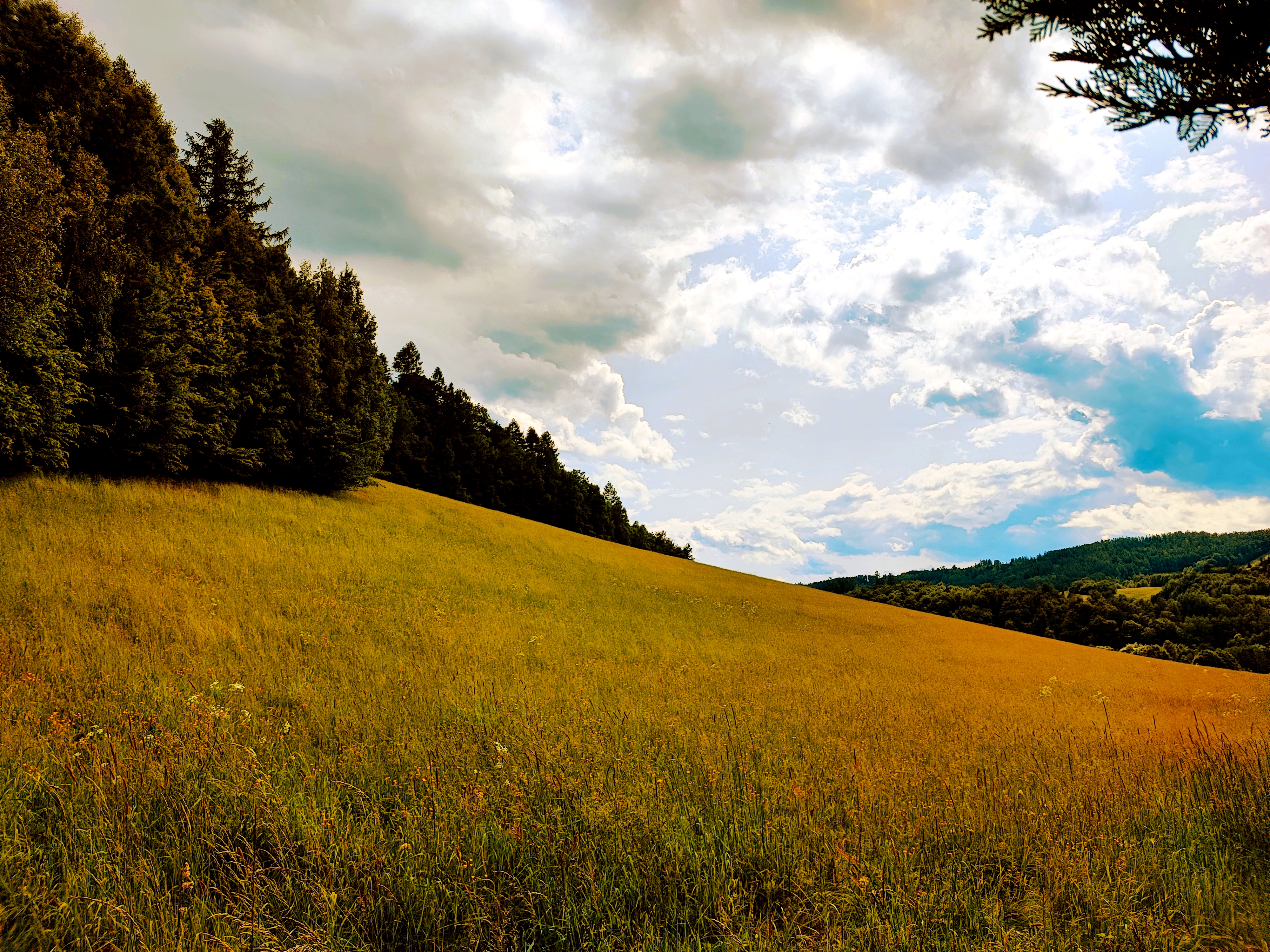 Chaloupka na konci světa foto 1