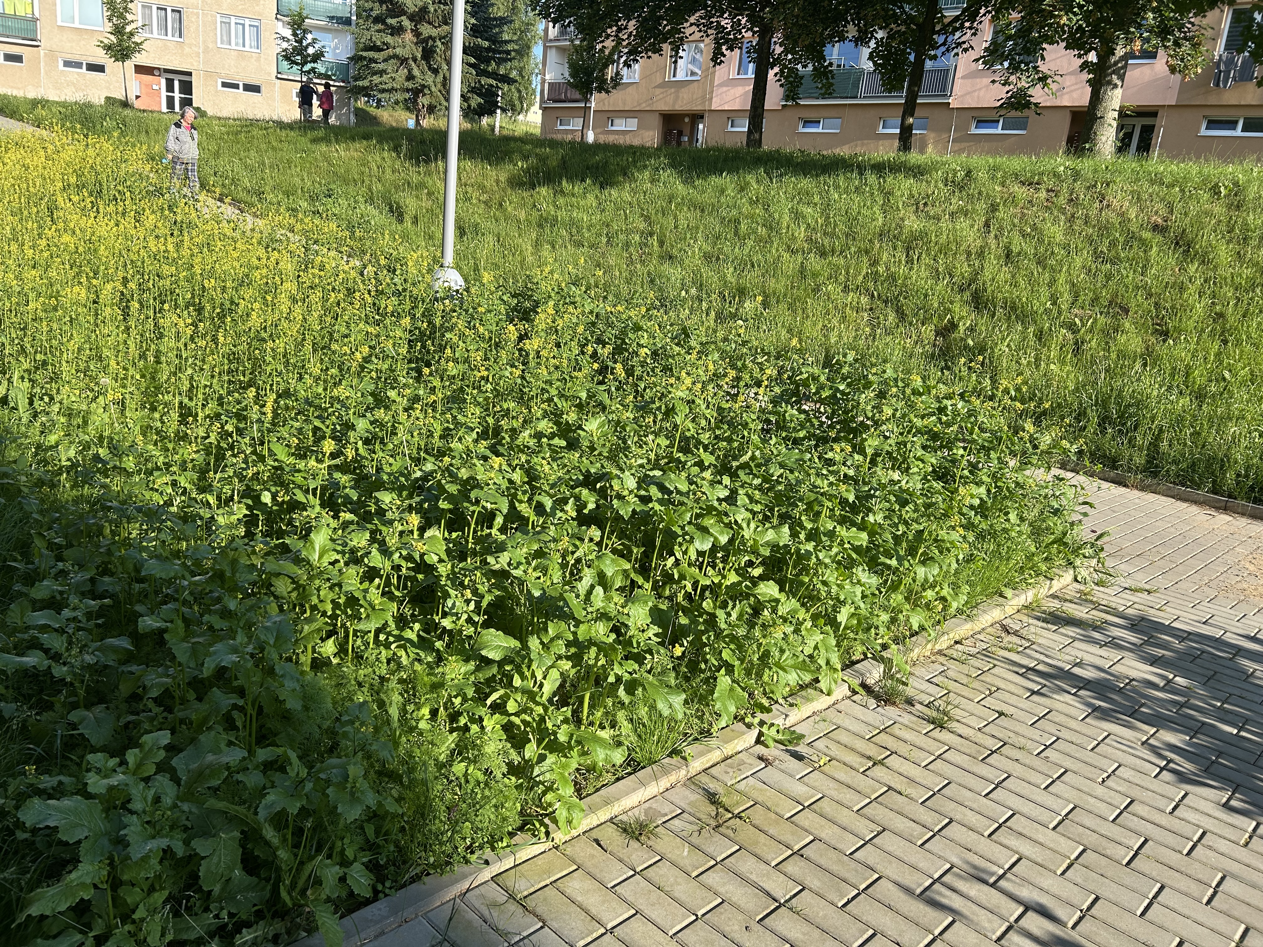 TBS Světlá nad Sázavou foto 3