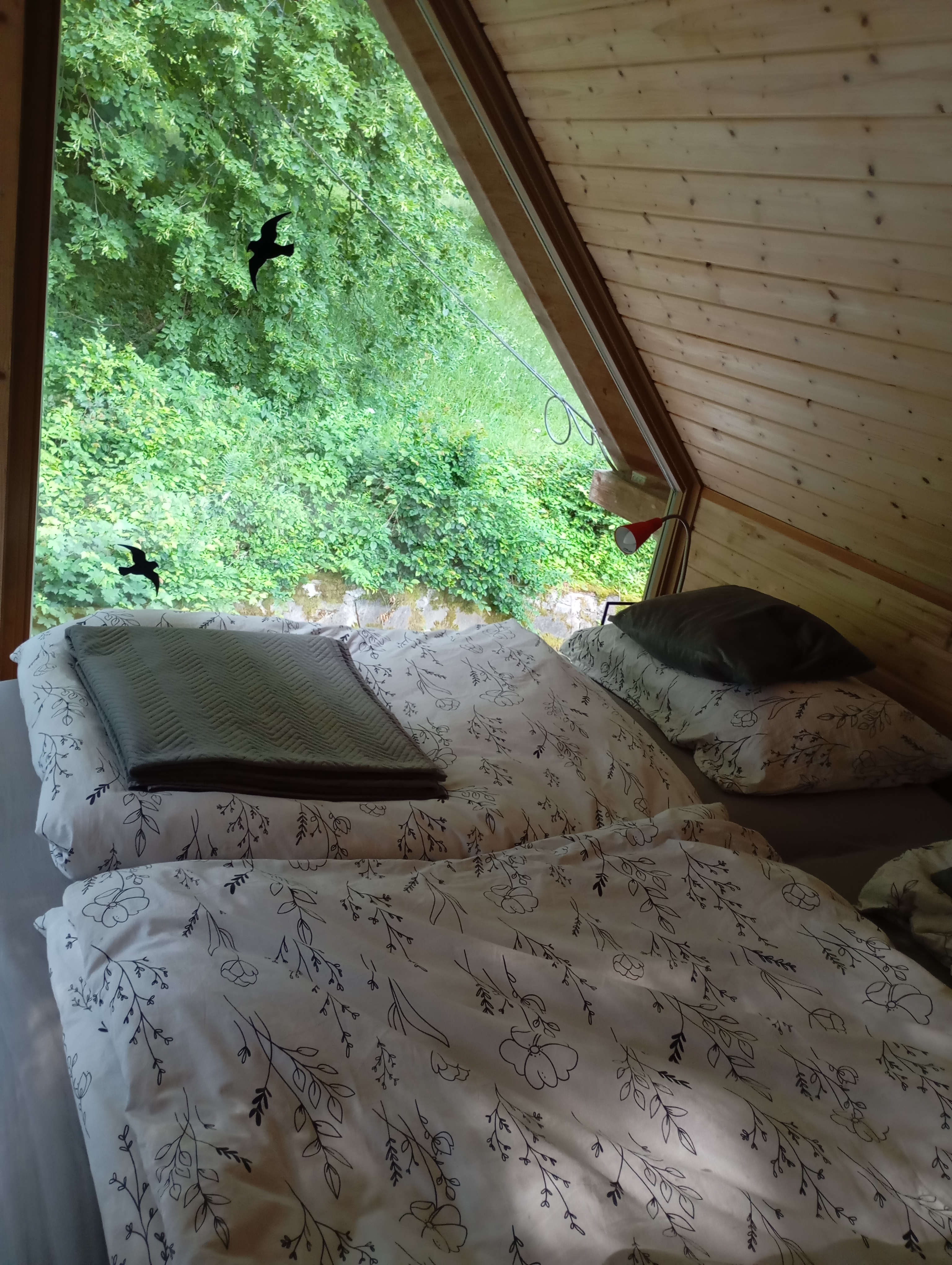 Srub Pod Lípou foto 5