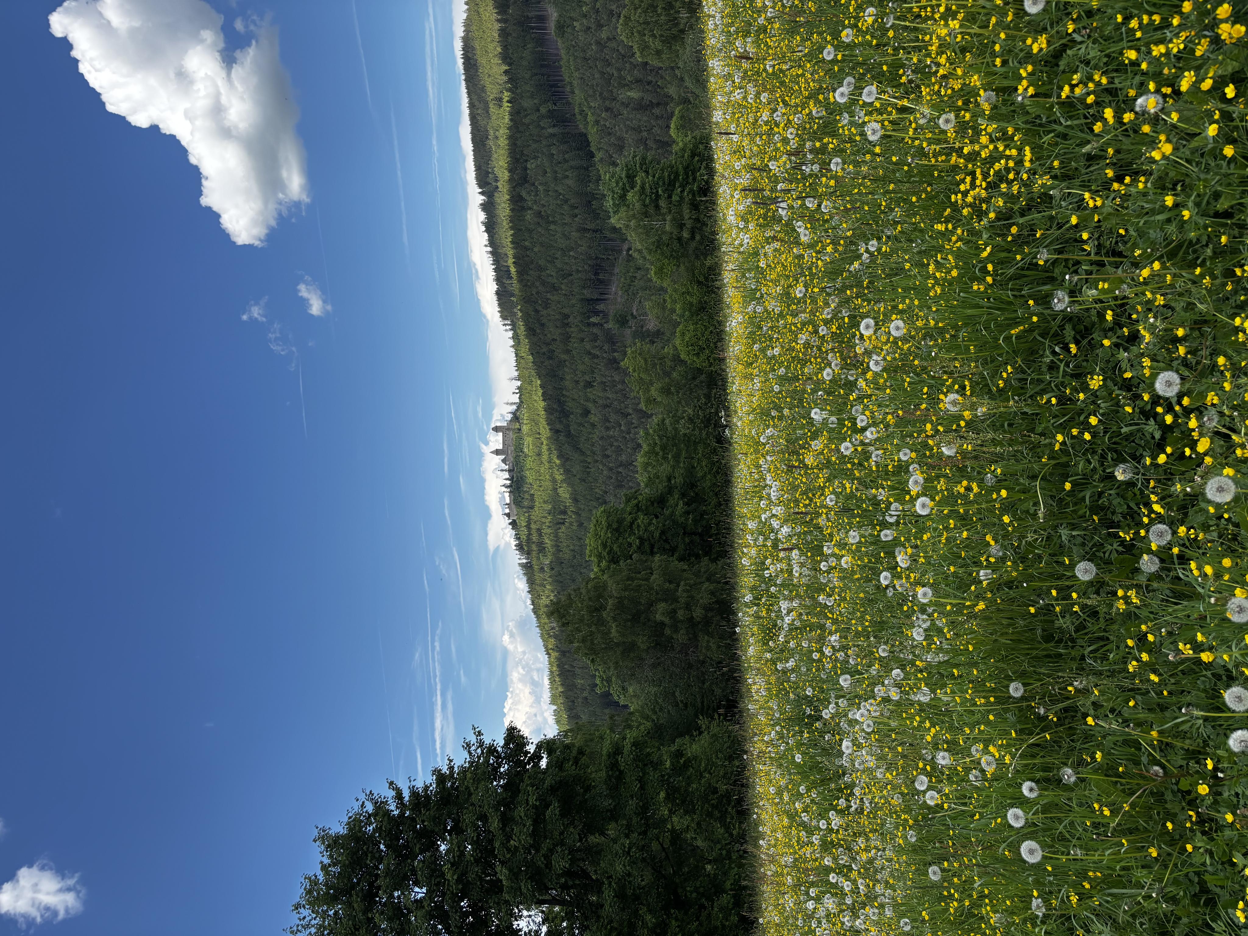 Pension Kristýna foto 5