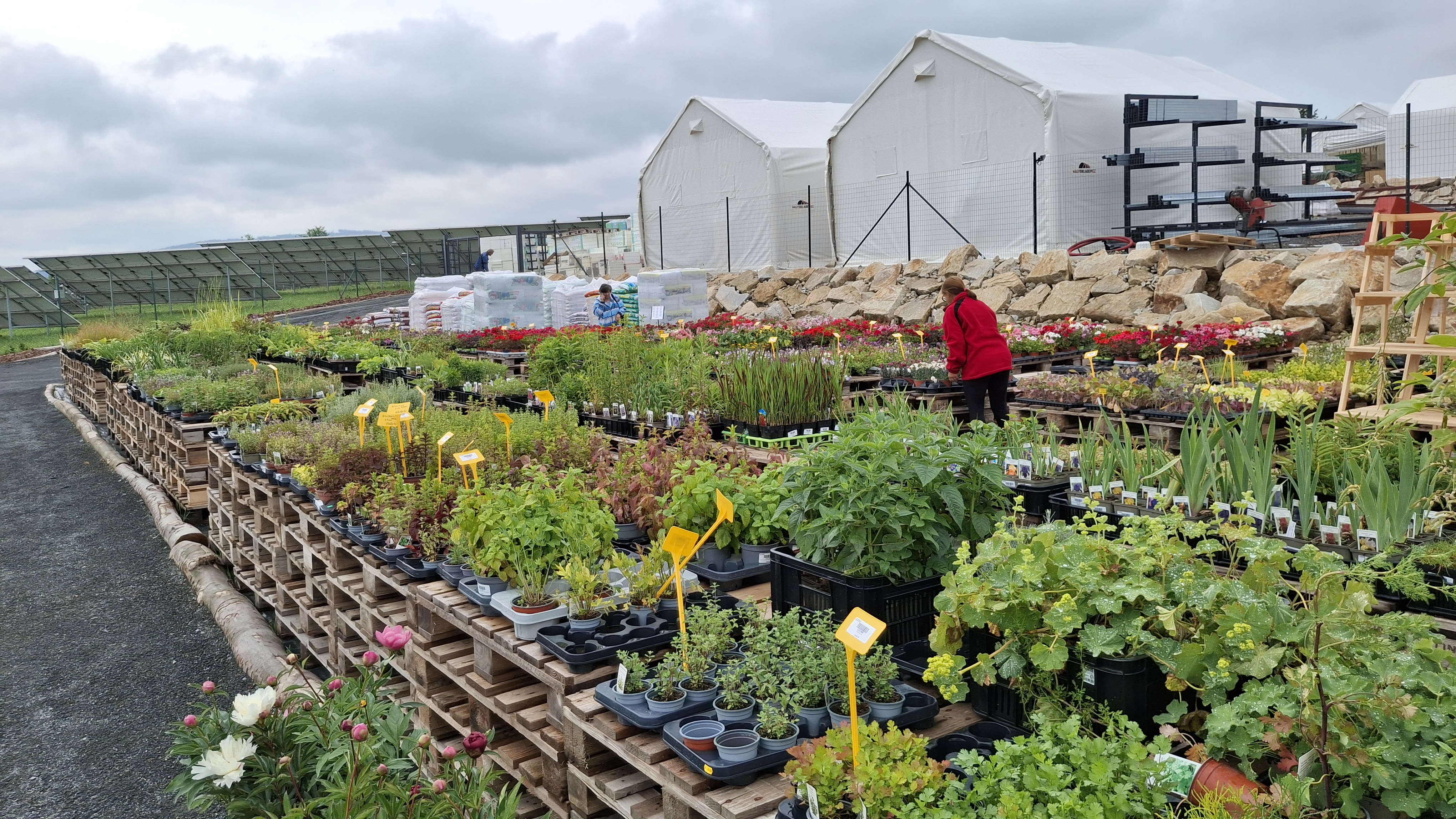 ATOS Zahradnictví foto 2