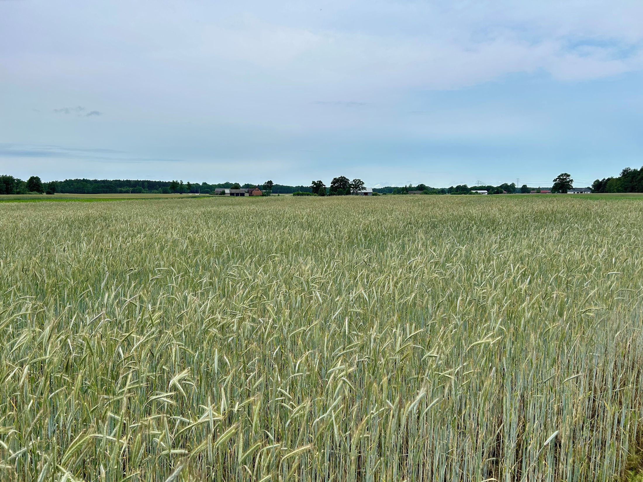 Ustawa o zespołach ludowych