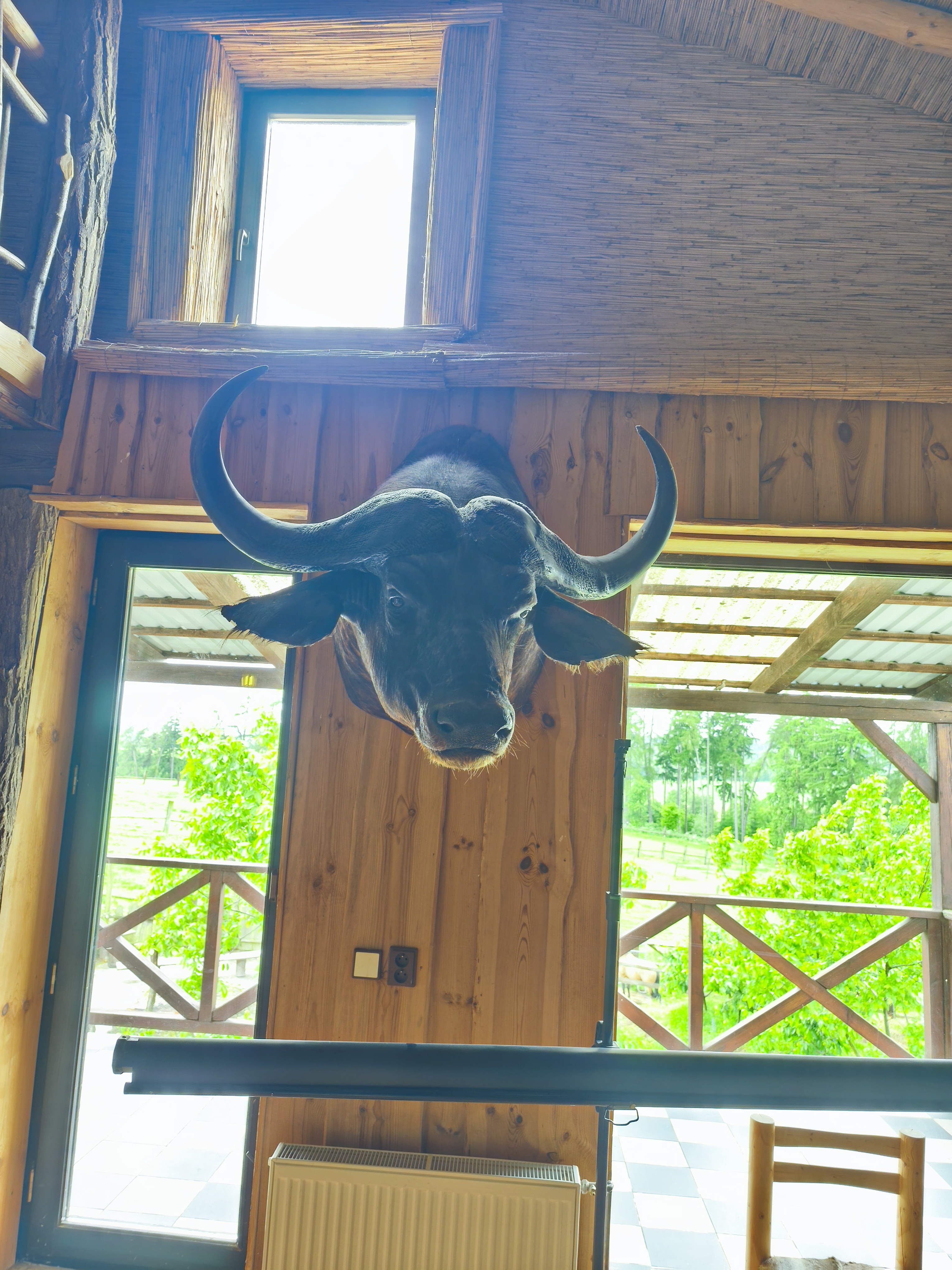 Q Ranch foto 6