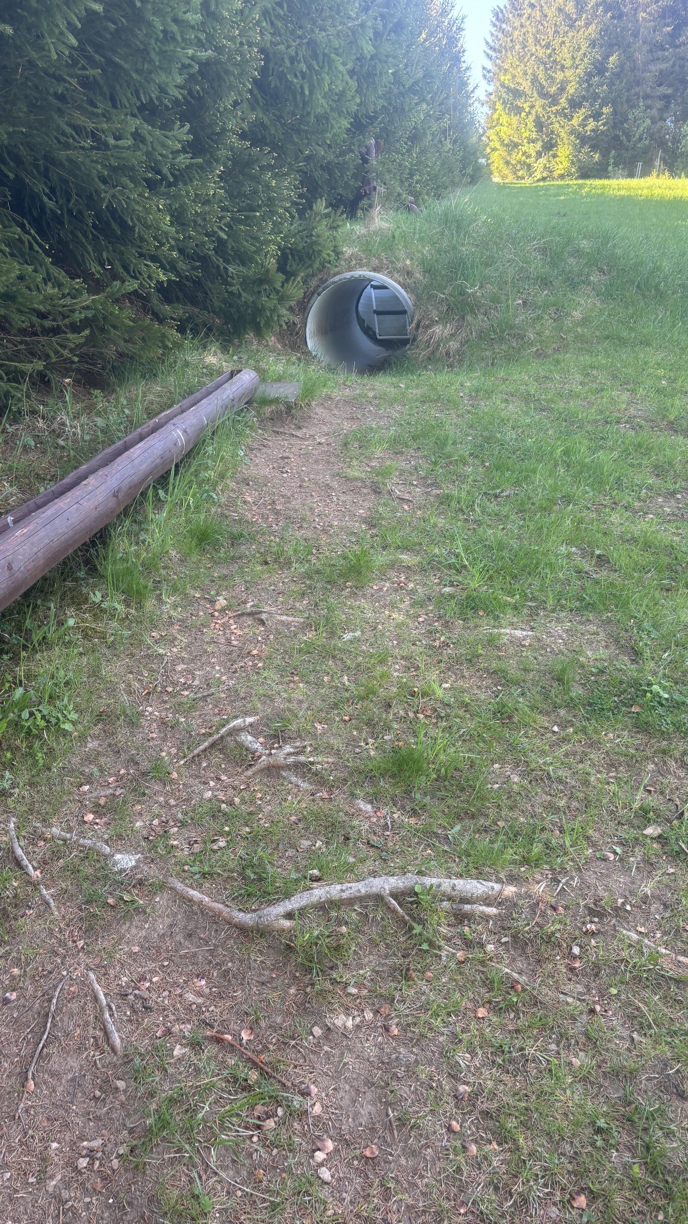 Rozhledna Amálka foto 5