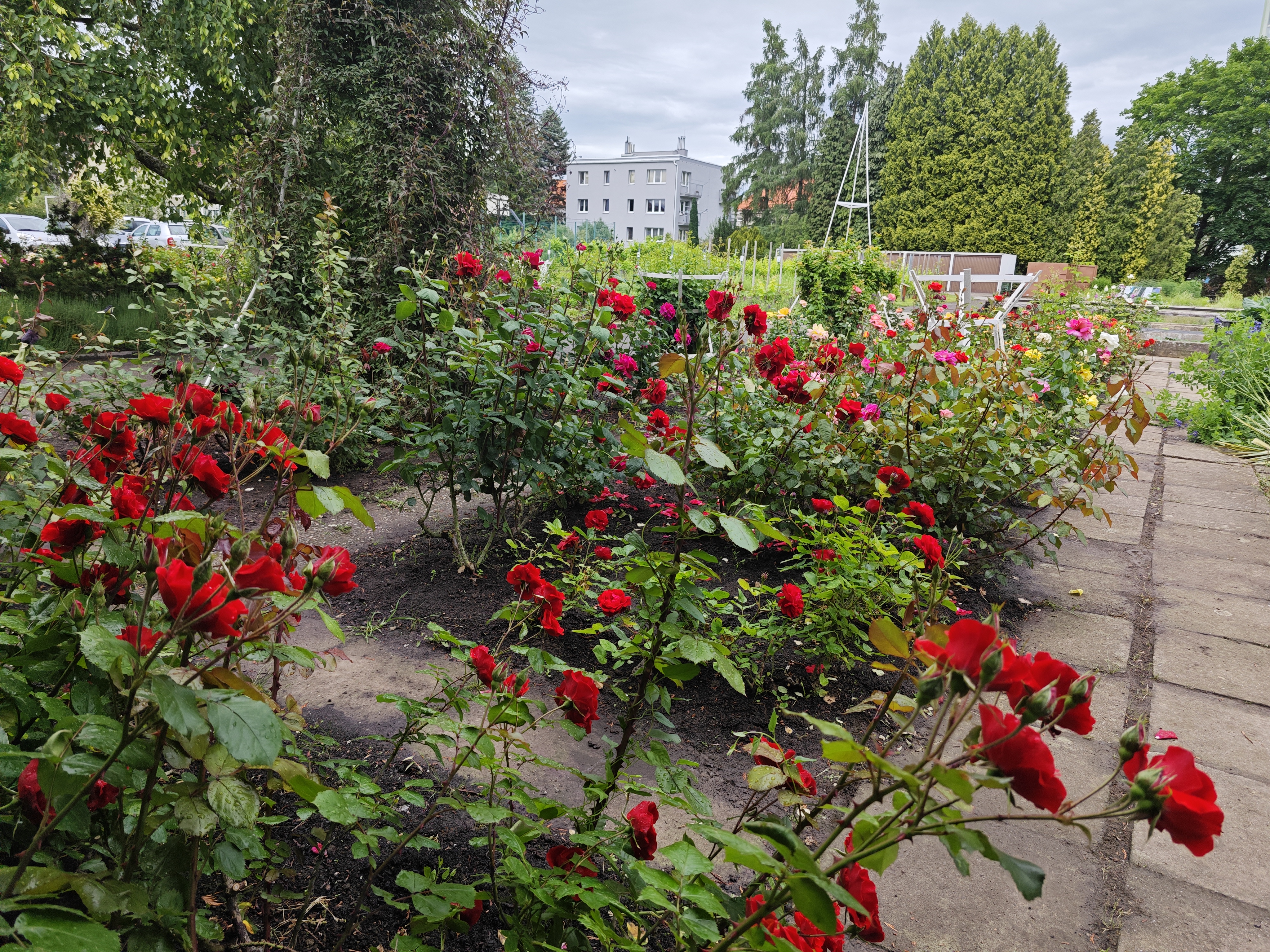Česká zahradnická akademie Mělník - vyšší odborná škola foto 3