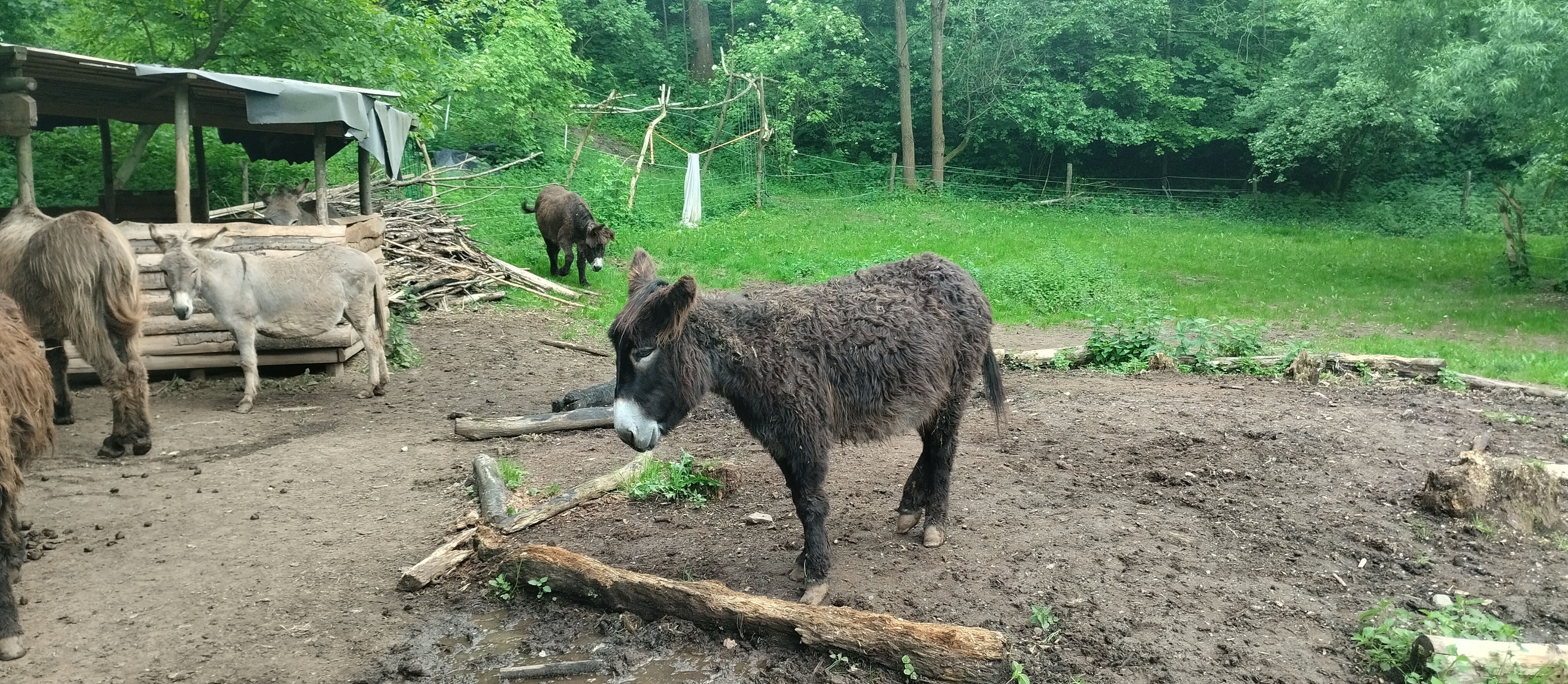 Oslí stezka Český ráj foto 3