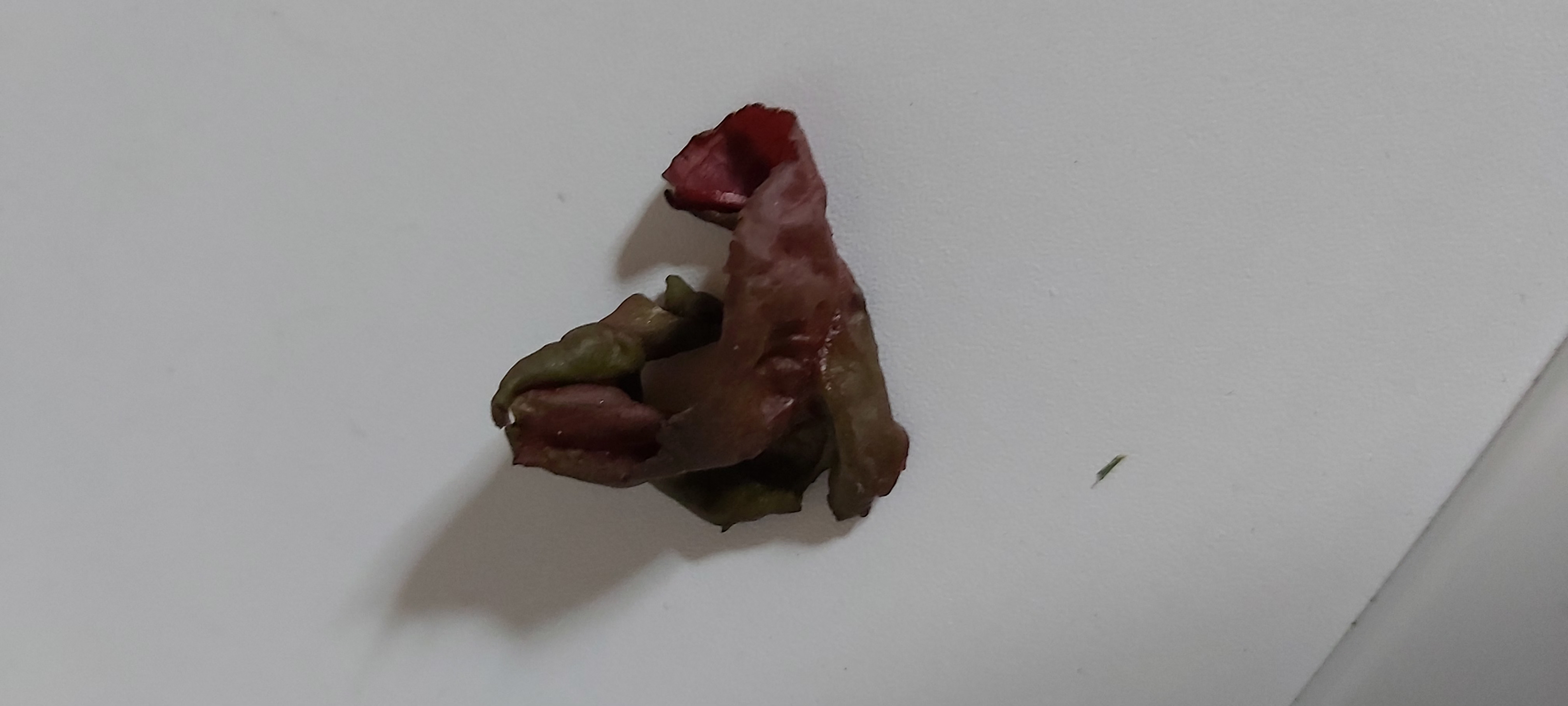 Zahradnictví V Ráji foto 3