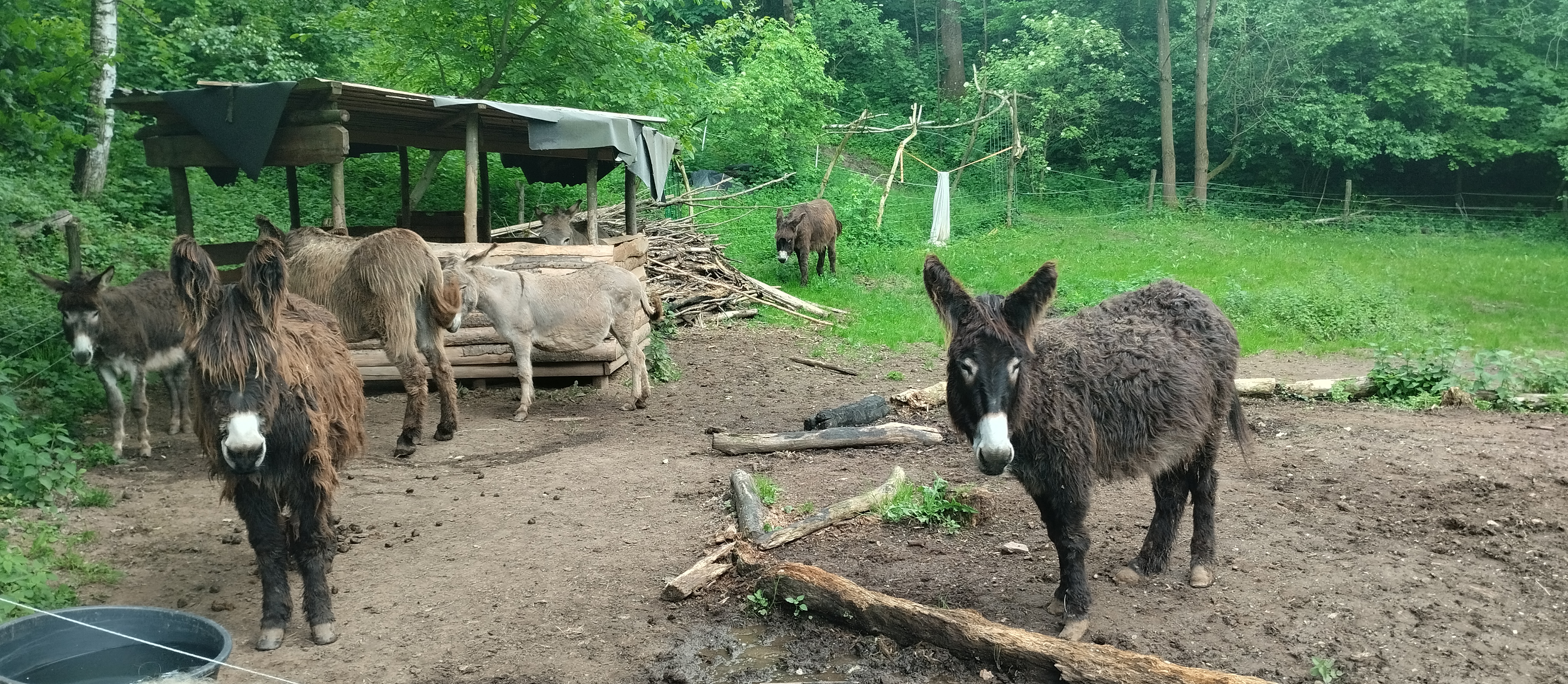 Oslí stezka Český ráj foto 2