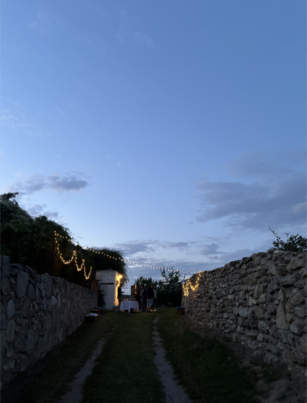 Vinařství Punk, s.r.o. foto 3