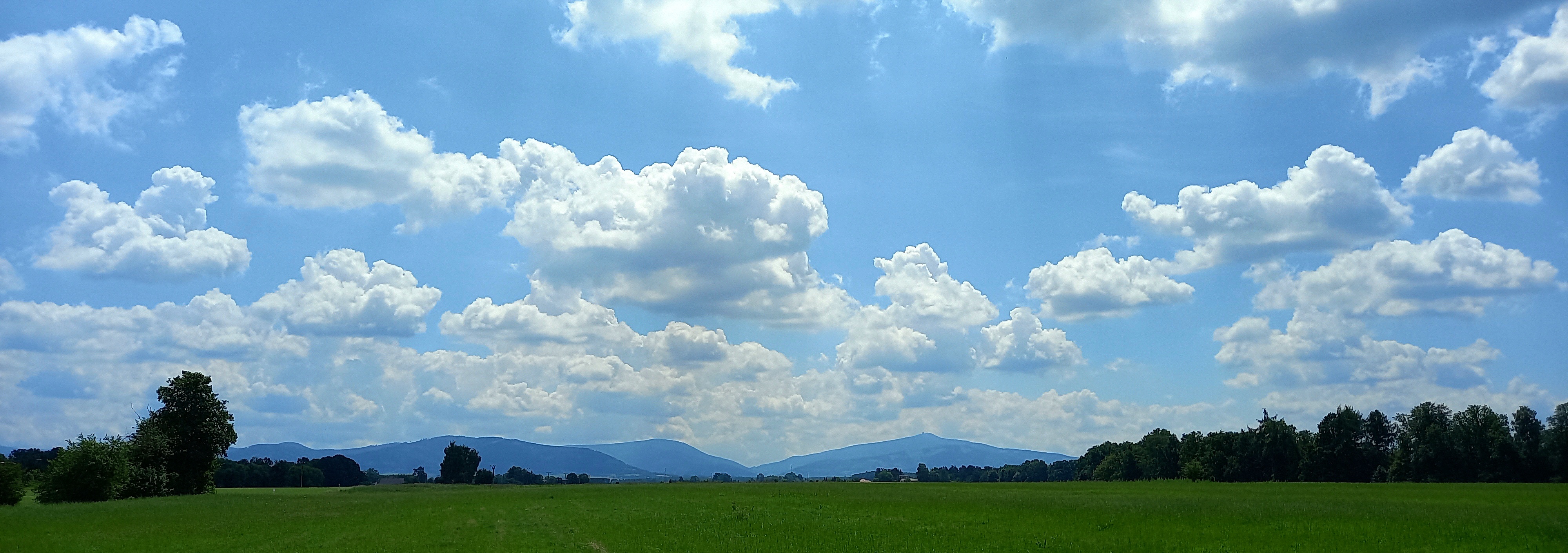 Levandule de Žermanické moře - de Levandule foto 4