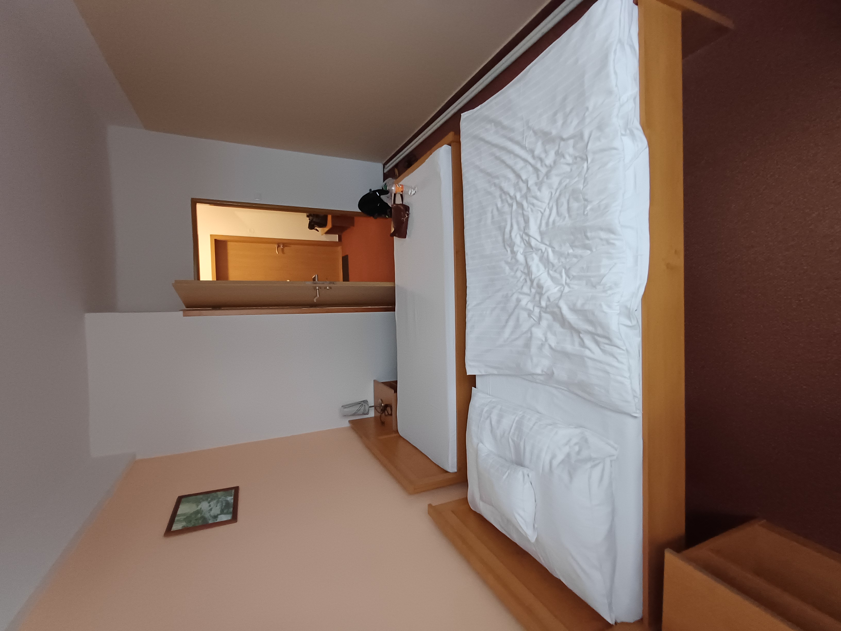 Hotel Vysočina foto 4