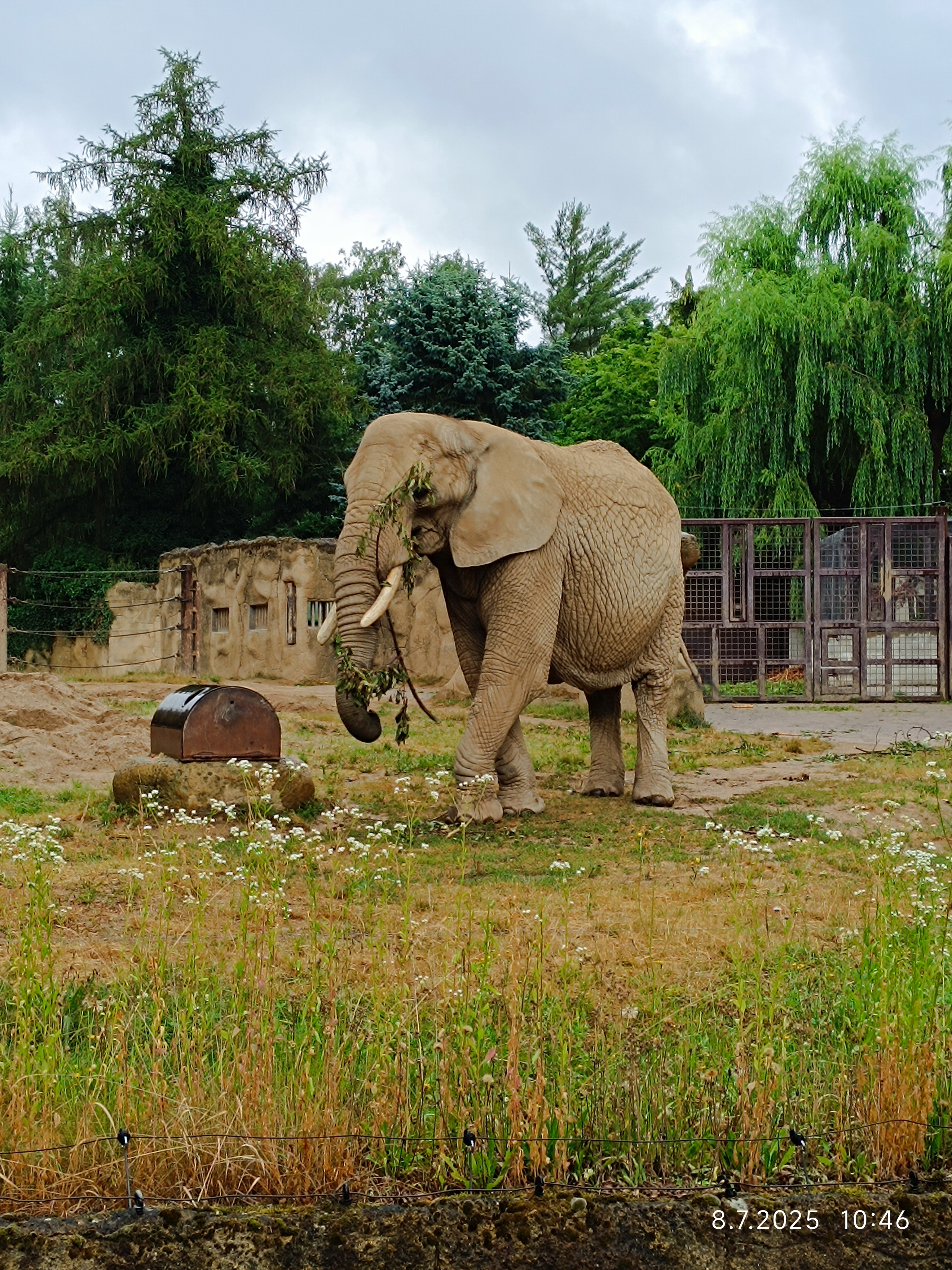 Safari Park Dvůr Králové foto 6