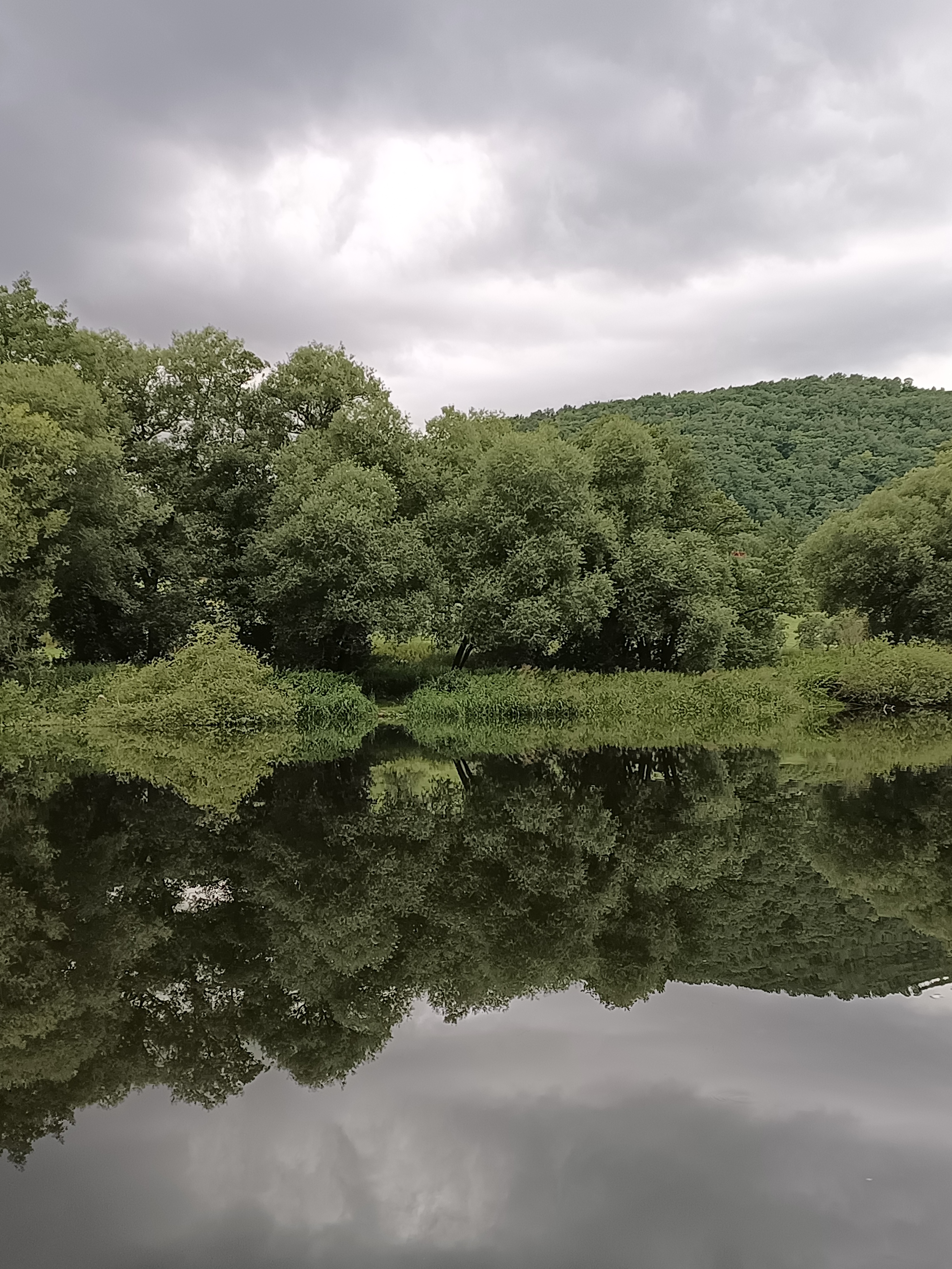 Ubytování V mechu a kapradí foto 6