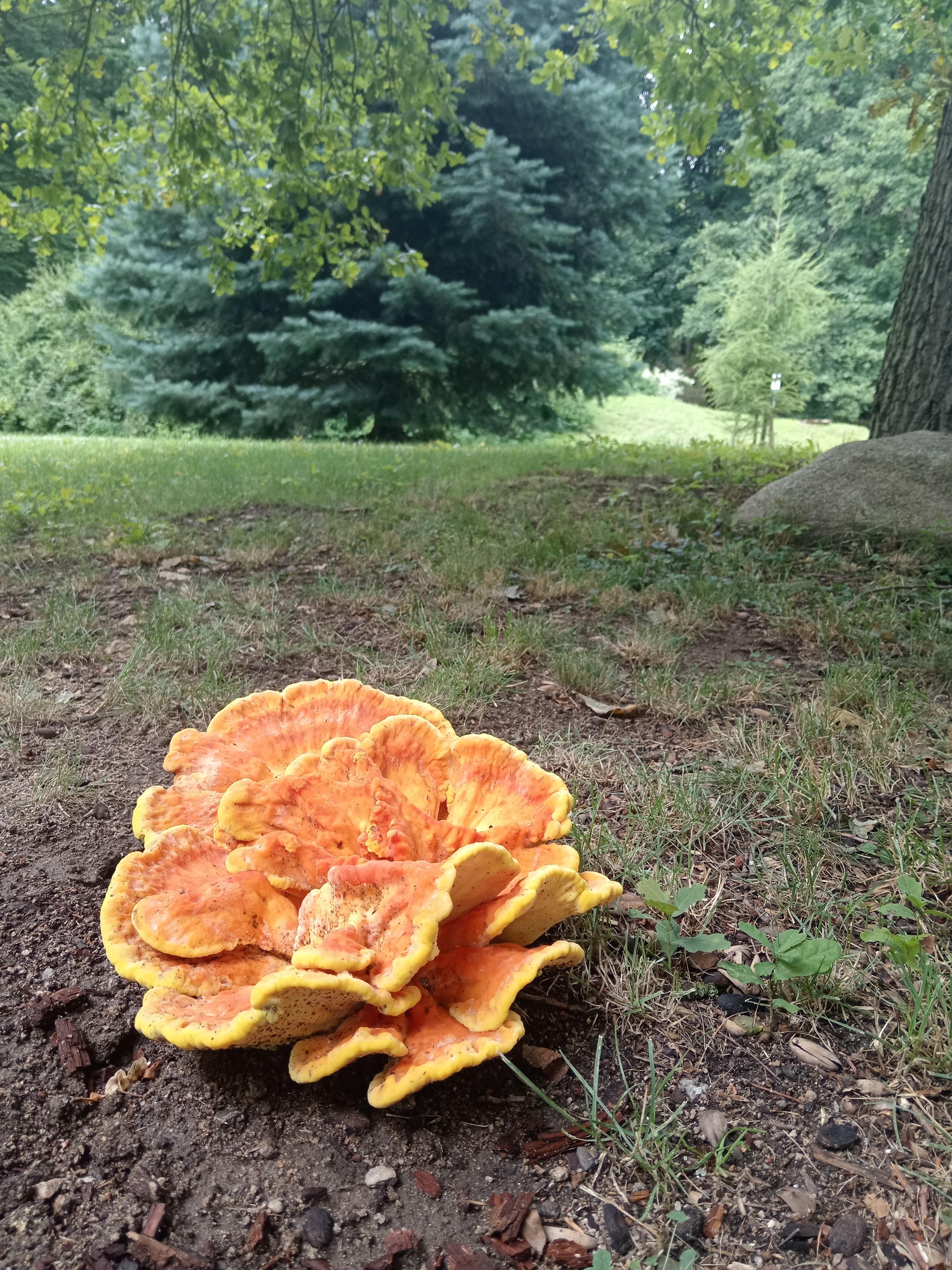 ZŠ a MŠ Chanovice foto 5