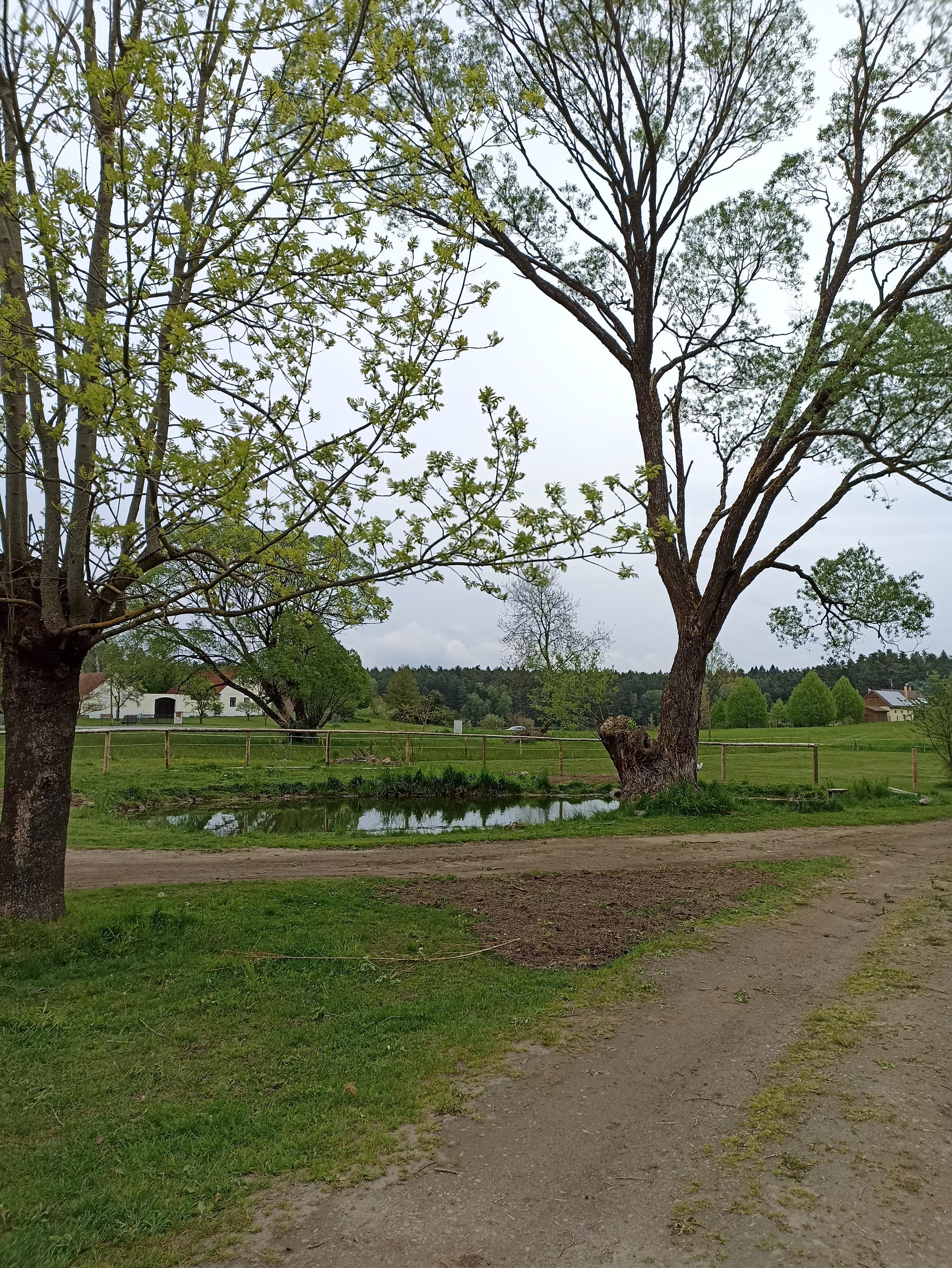 Ubytování v Koutech foto 5