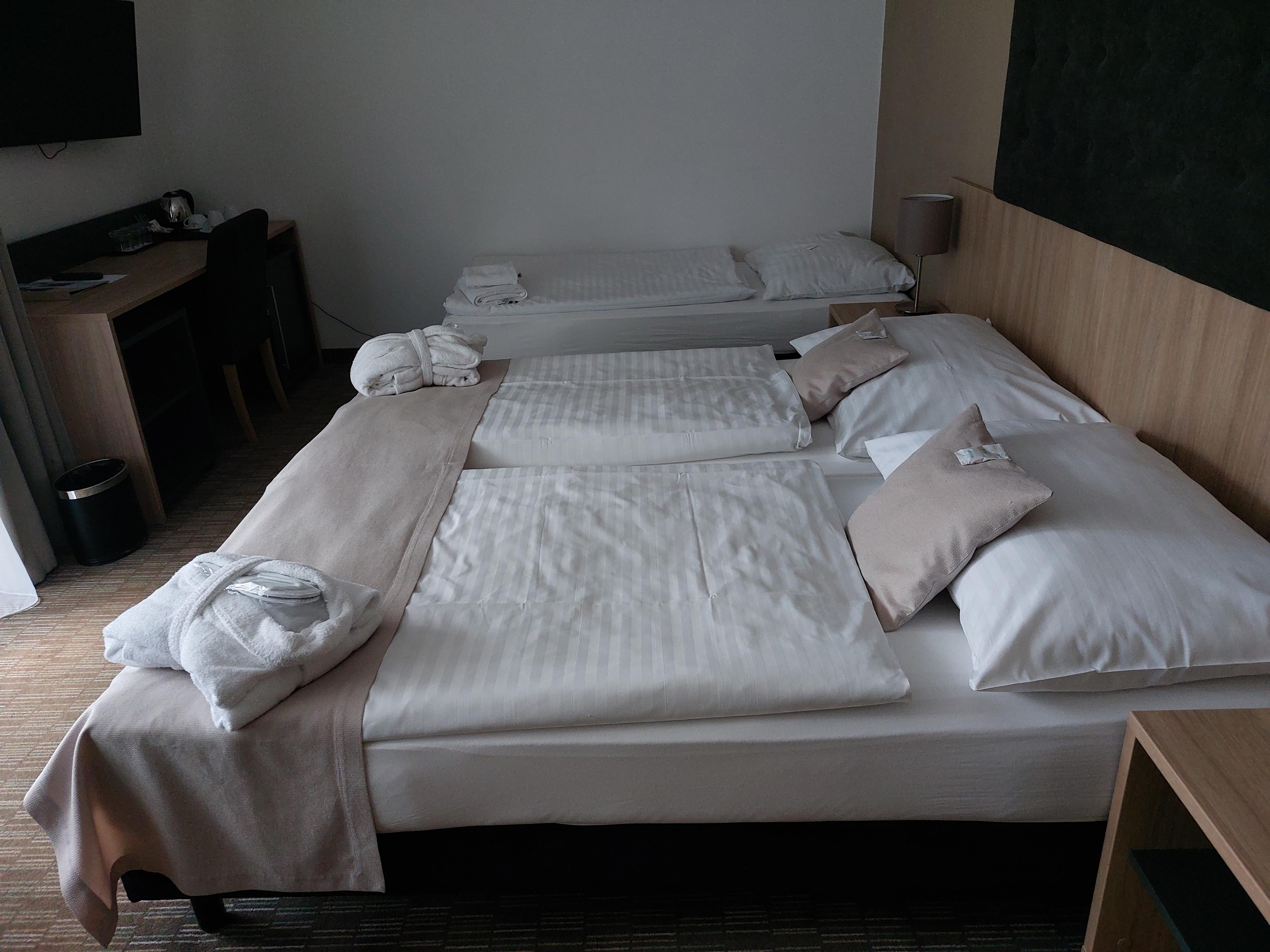 SPA Hotel Děvín foto 4