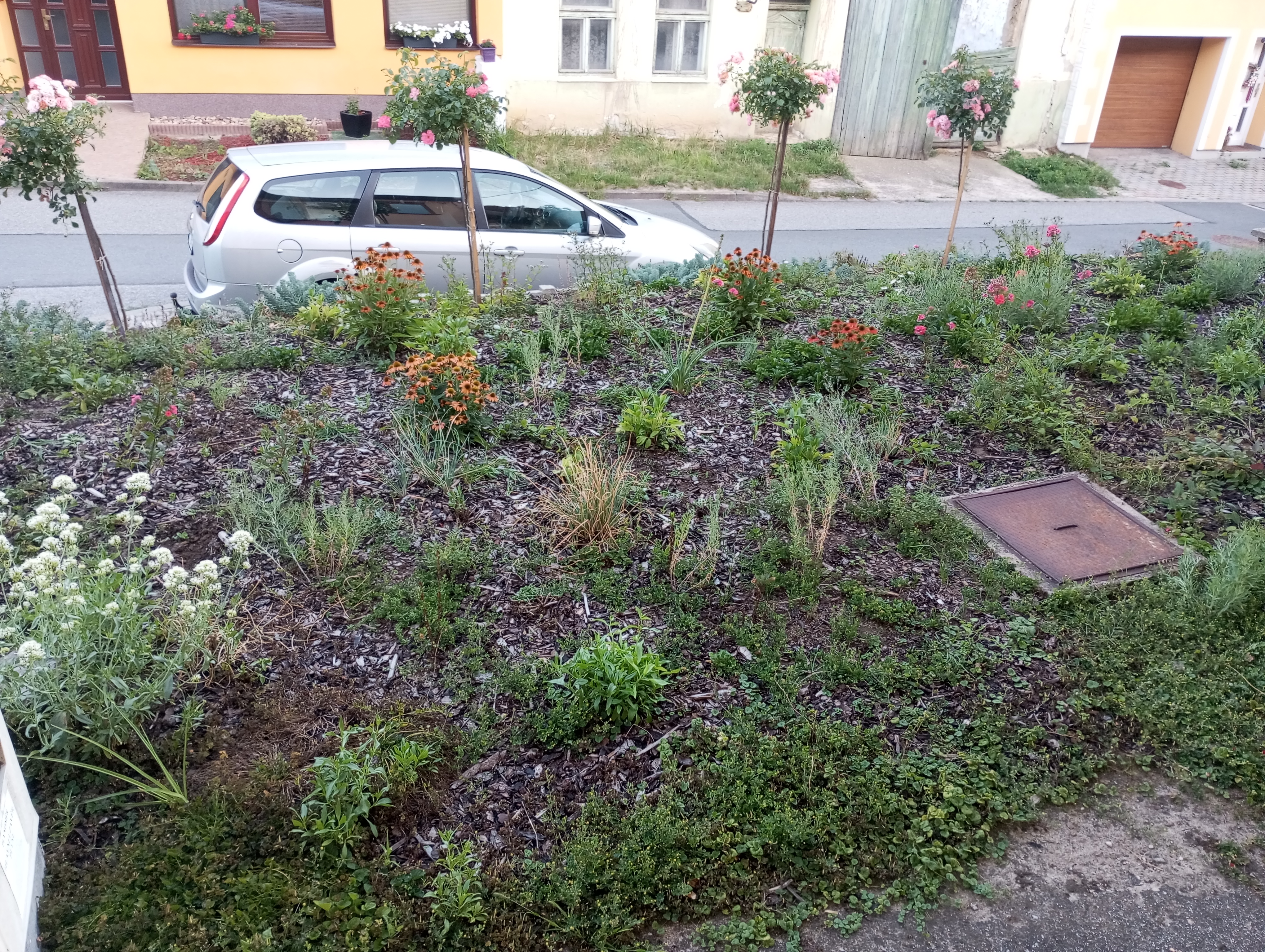 King gardens foto 2