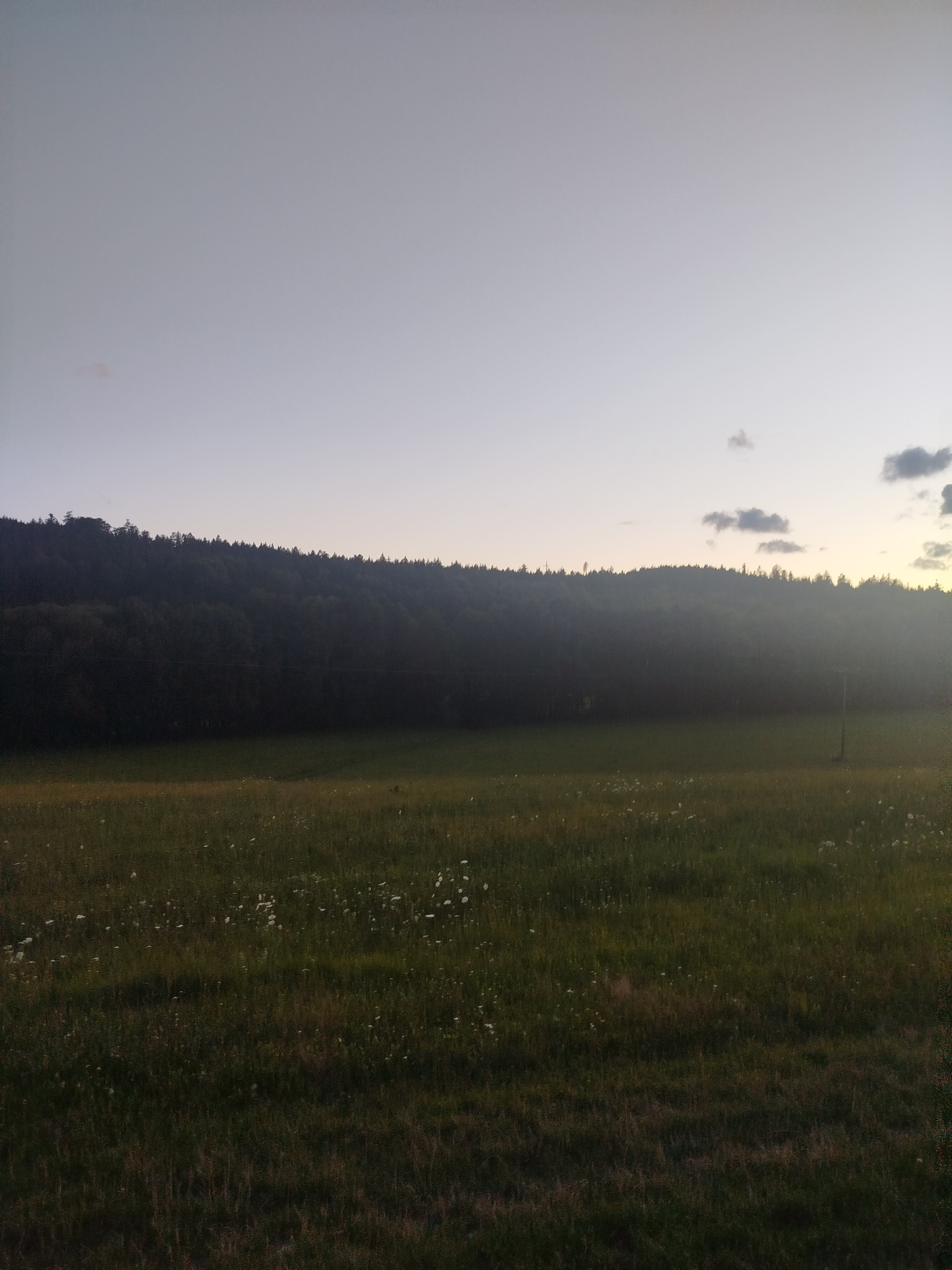 Jestřábí foto 4