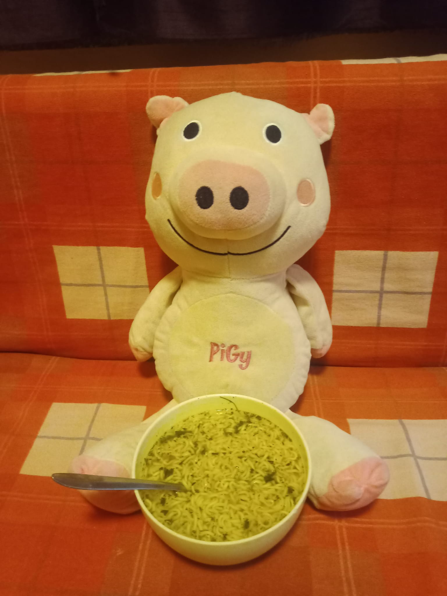 PLANEO foto 5
