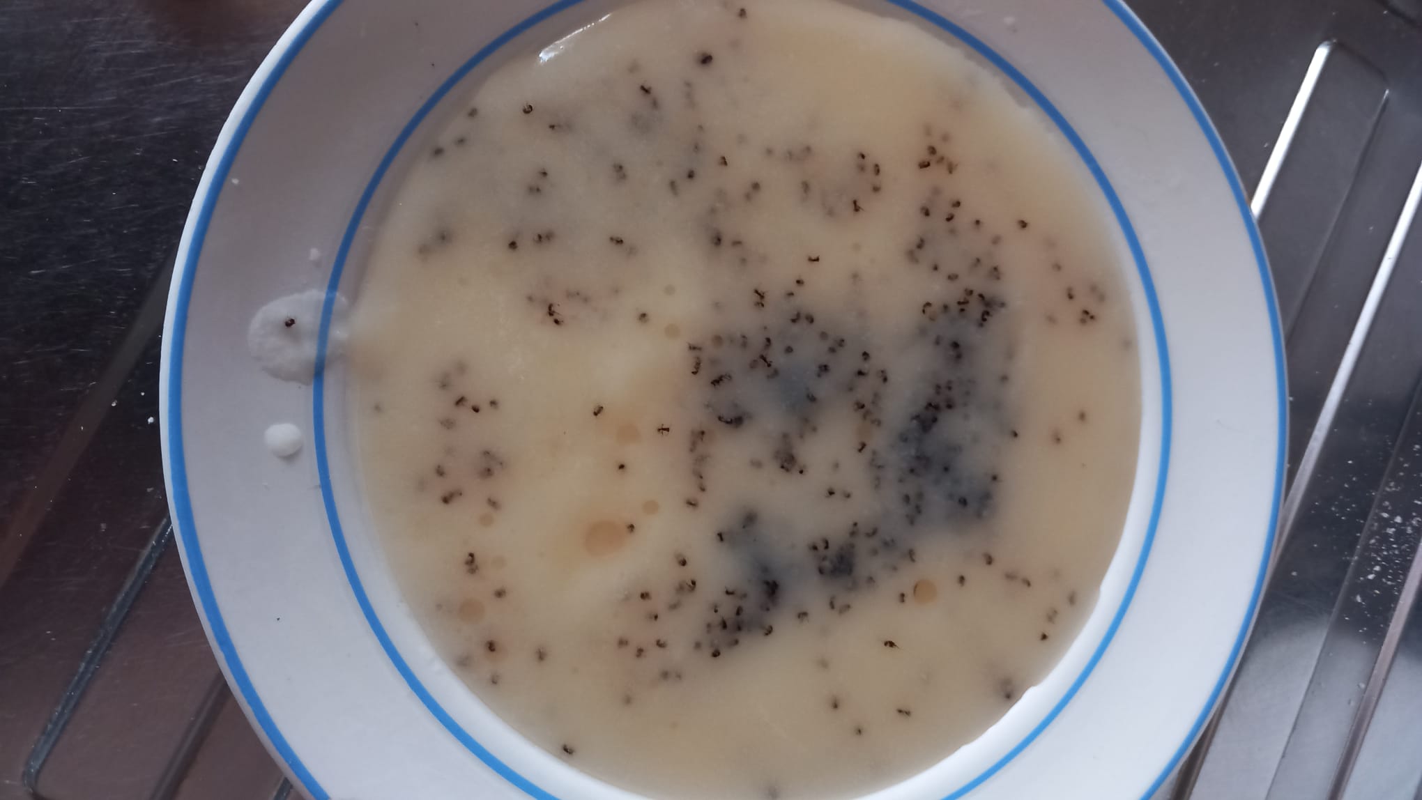 Řeznictví Luděk Janůš foto 2