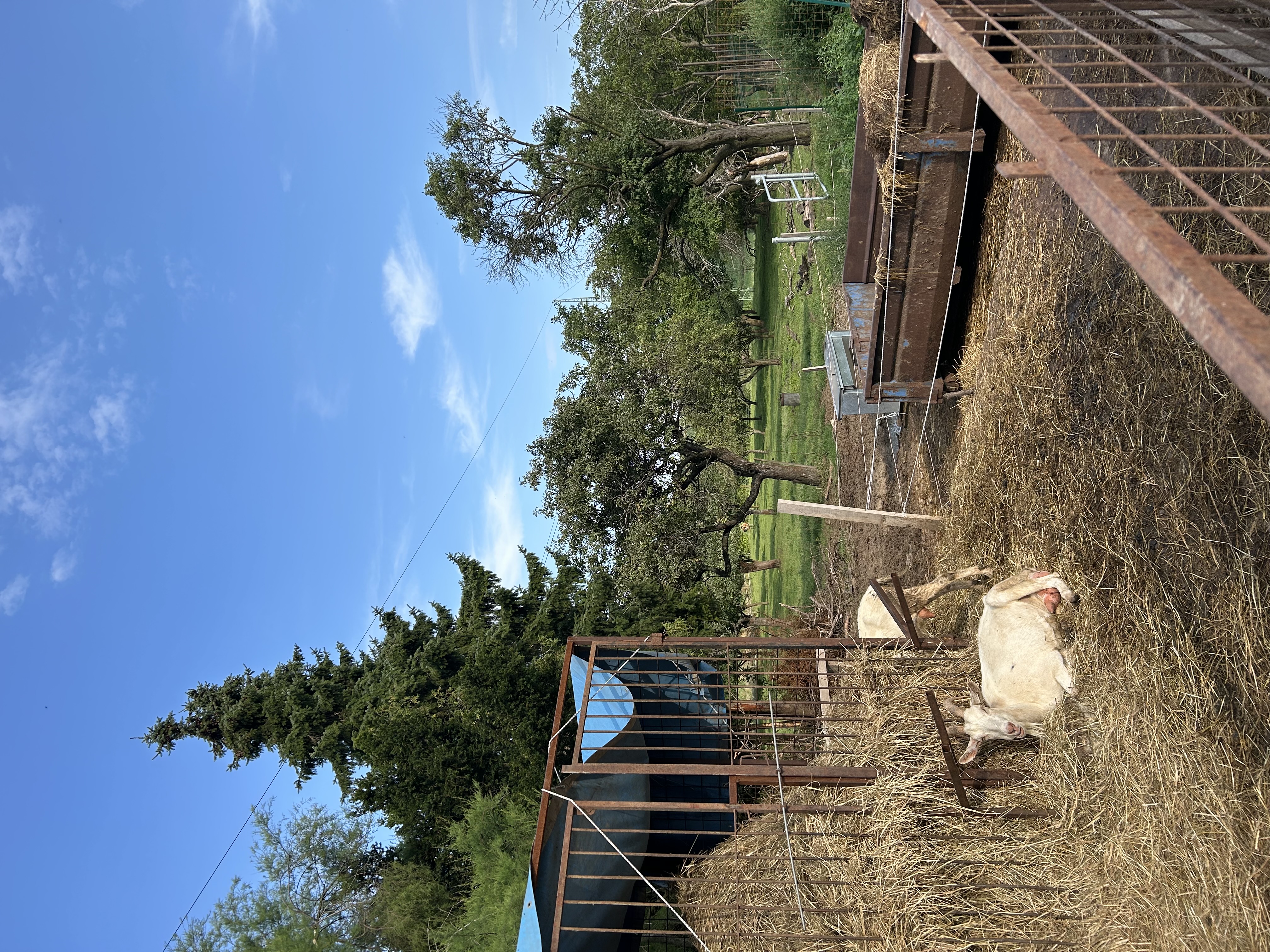 Farma Čech foto 1