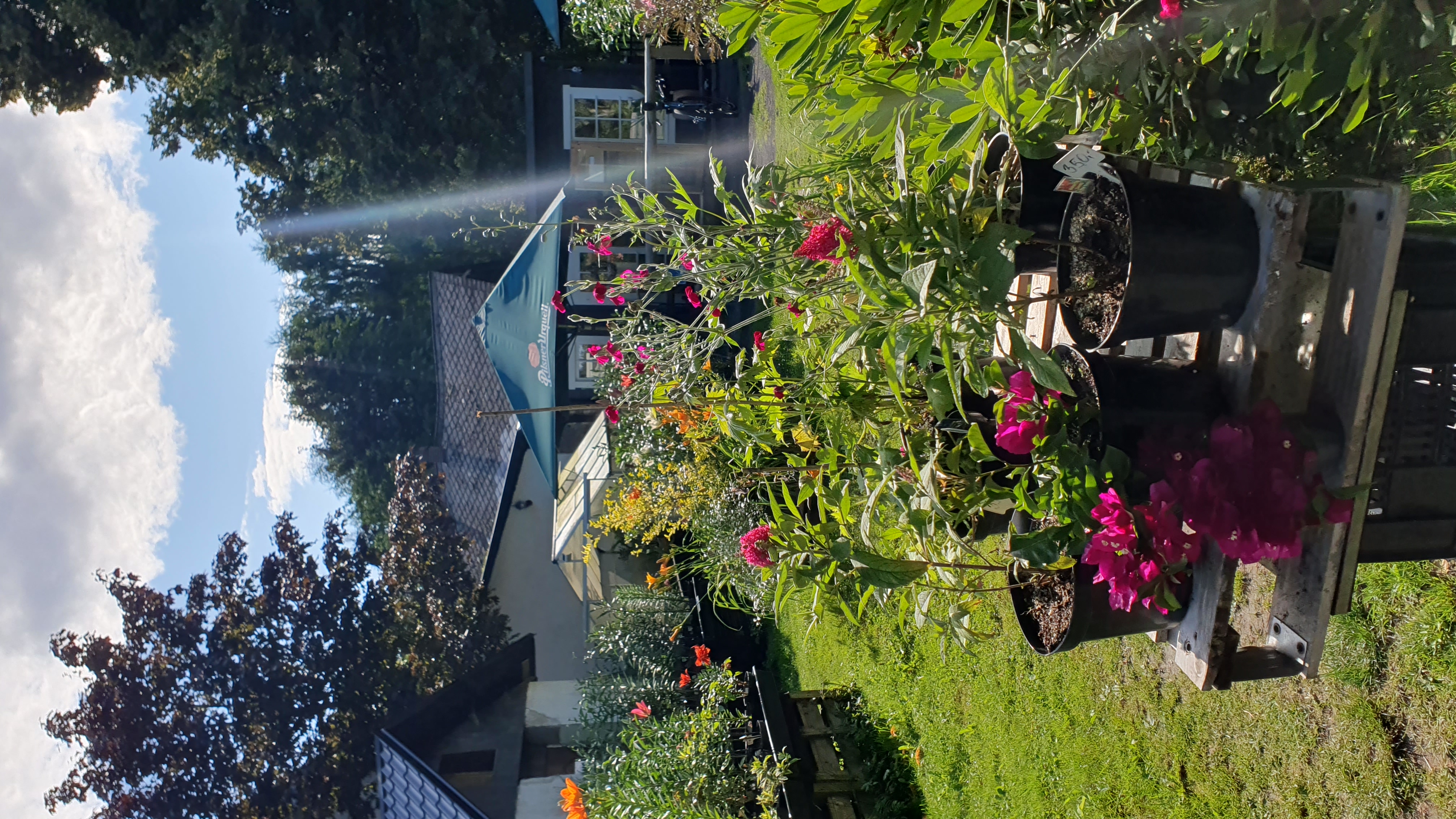 Hospůdka v Zahradě u Pandy foto 2