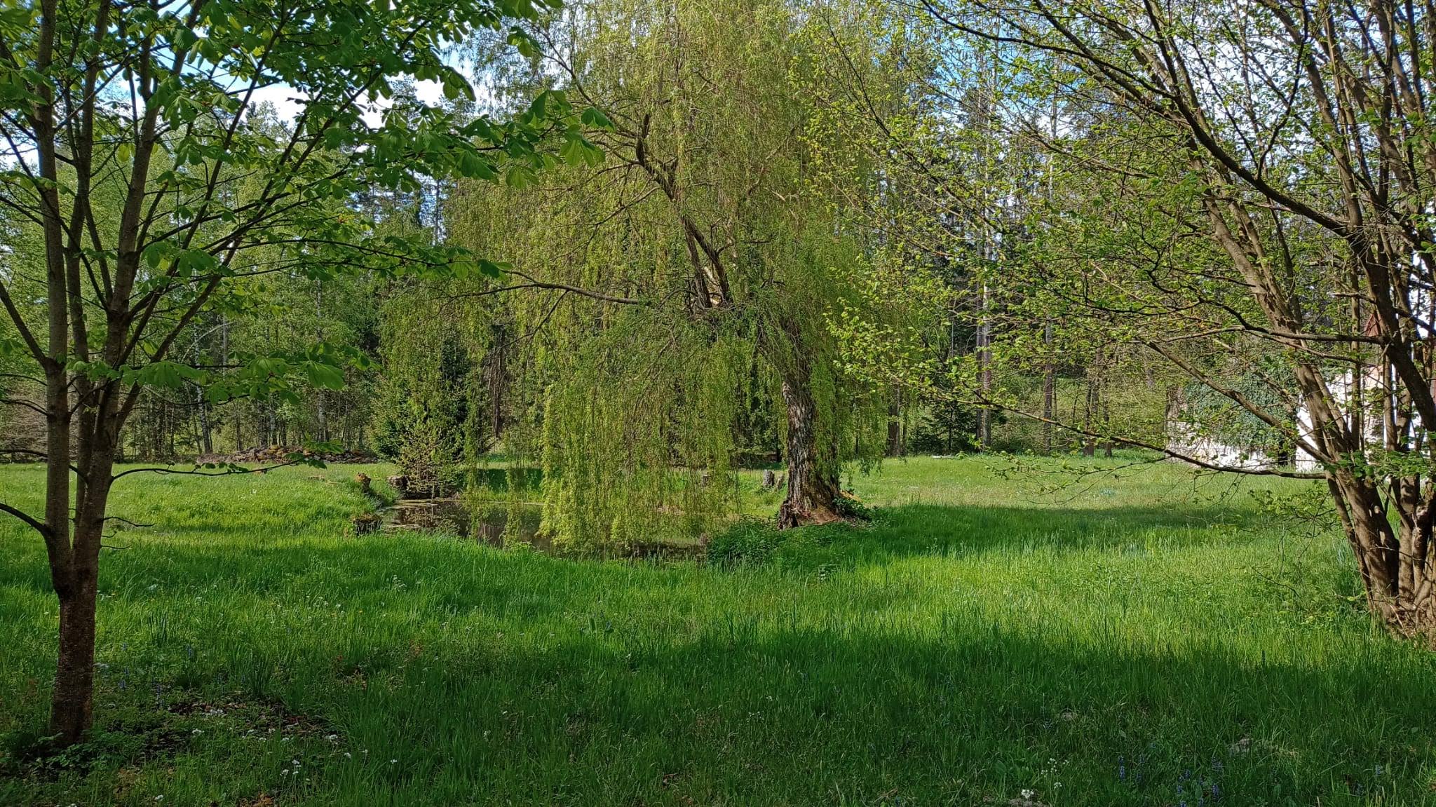Ubytování v Koutech foto 4